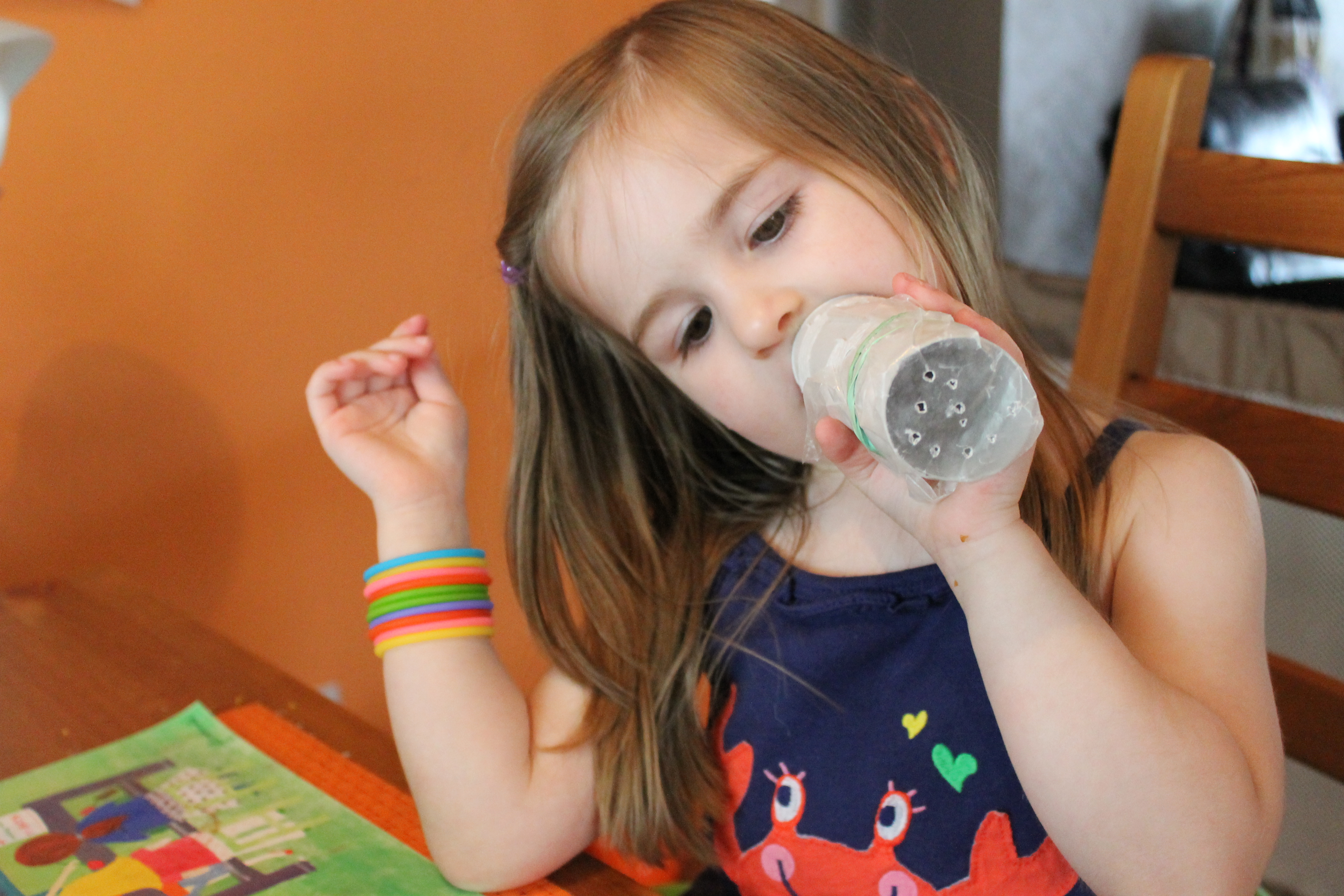 Toilet Paper Roll Kazoo