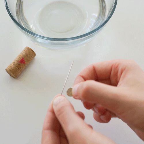 Floating Magnetic Compass