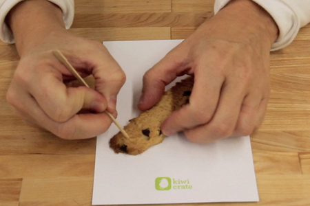 Chocolate Chip Cookie + Toothpick = Fossil Dig! - Two Ingredient Tuesday