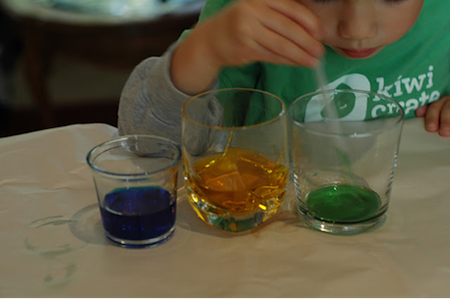 Celery & Food Coloring Experiment