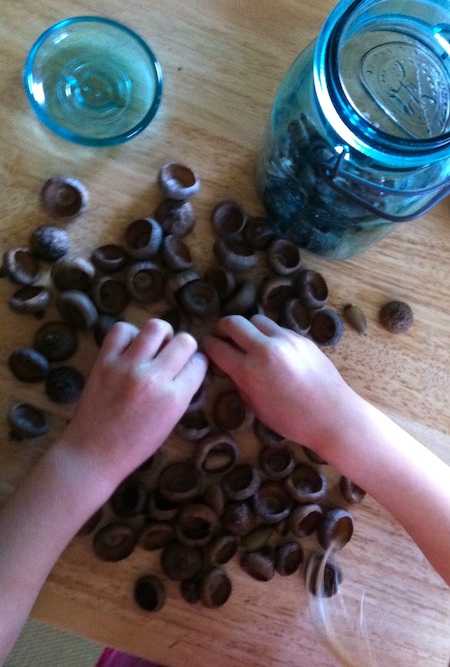 Acorn Cap Jewels