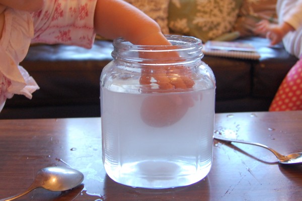 Science Experiment: The Floating Egg