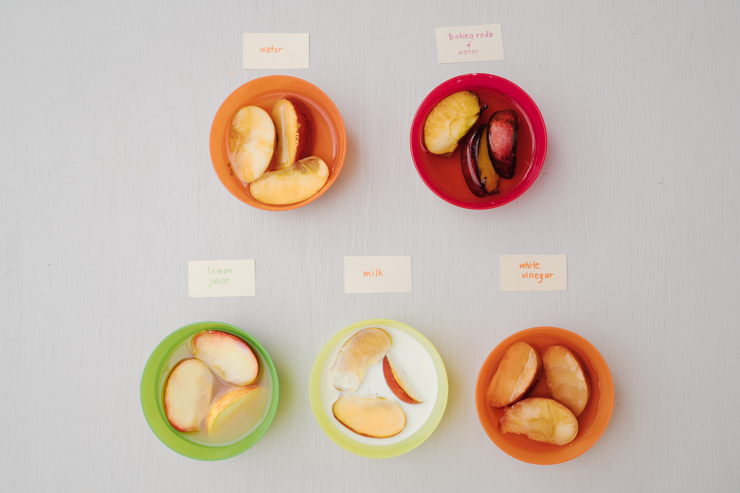 Apple Experiment