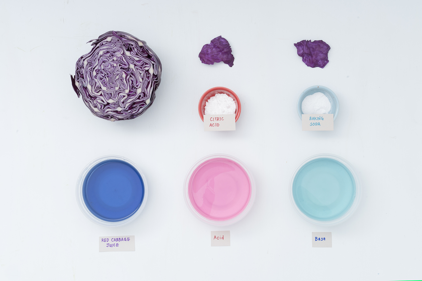 Red Cabbage Indicator Experiment