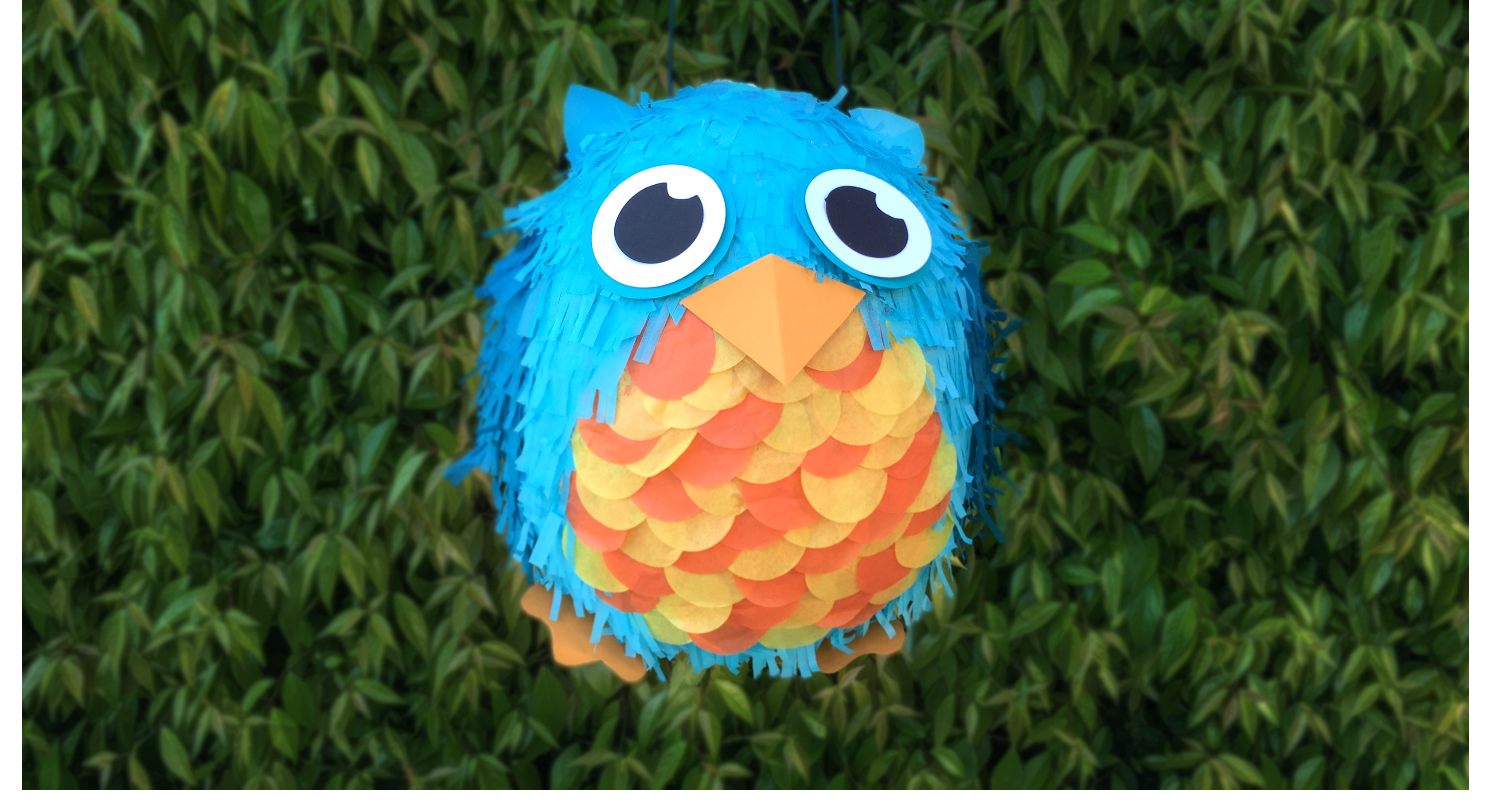 Owl Pinata