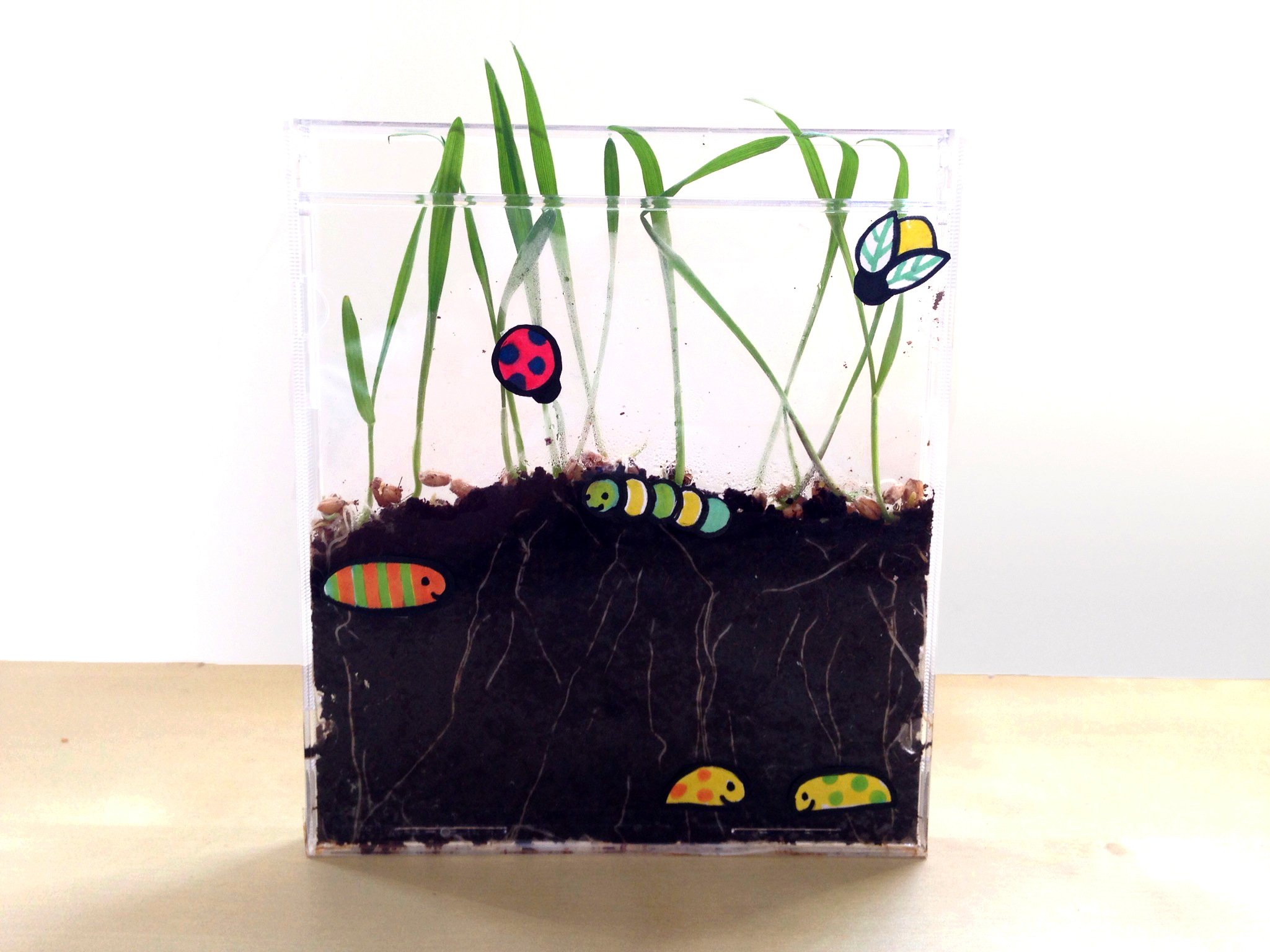 Make Your Own Garden