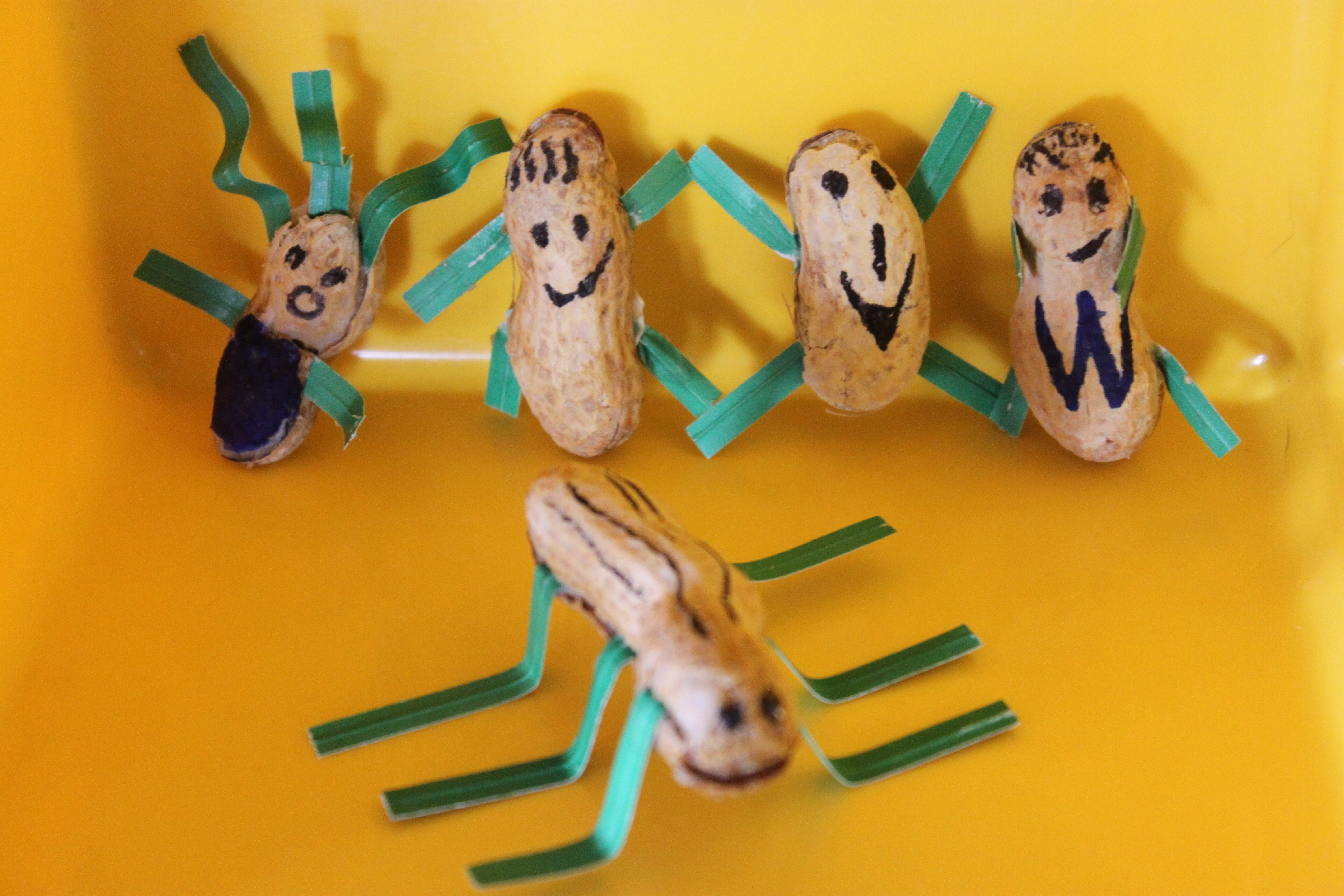 Nutty Creations