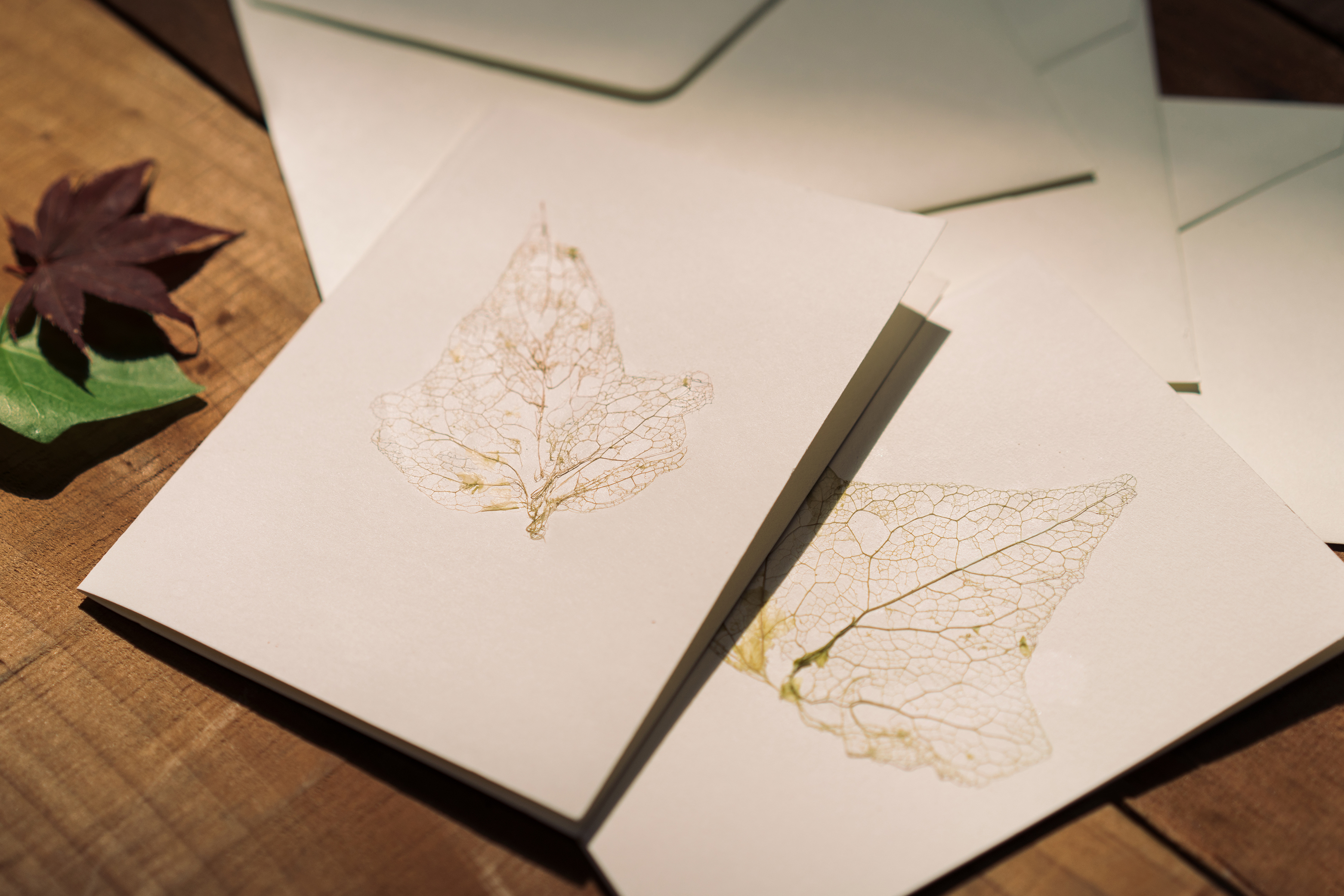 Skeleton Leaves