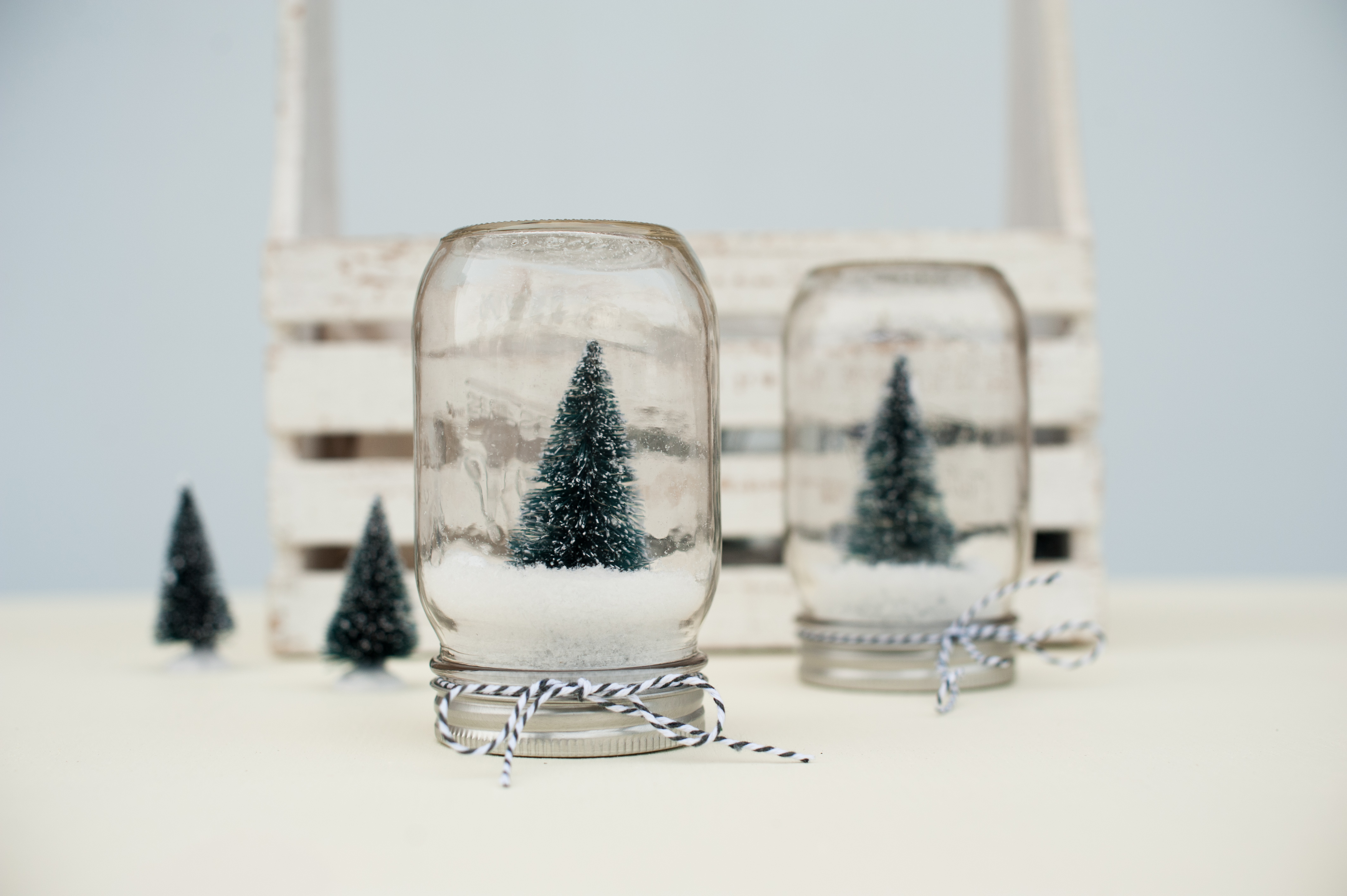 Snow Globes