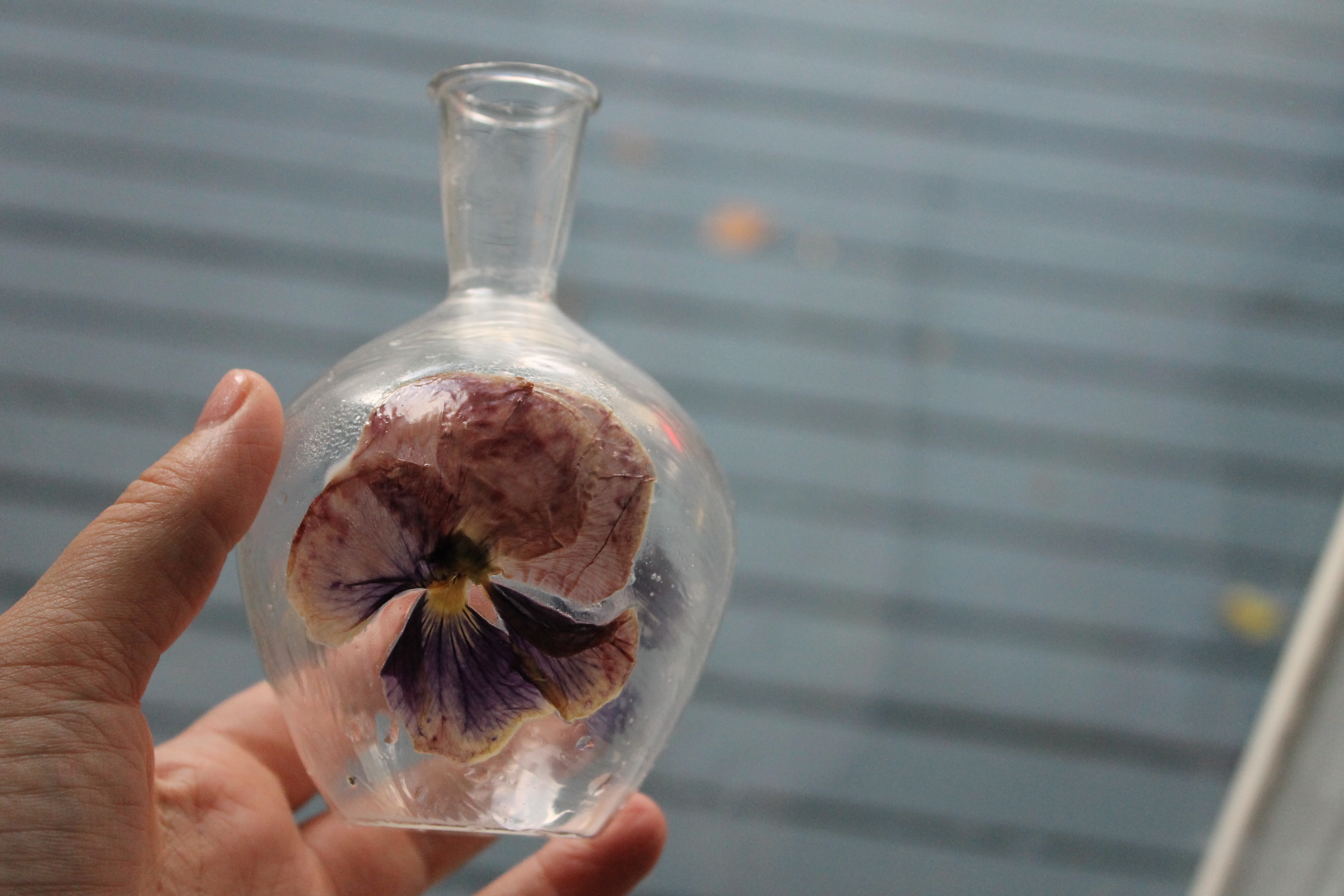 Pressed Flower Vases