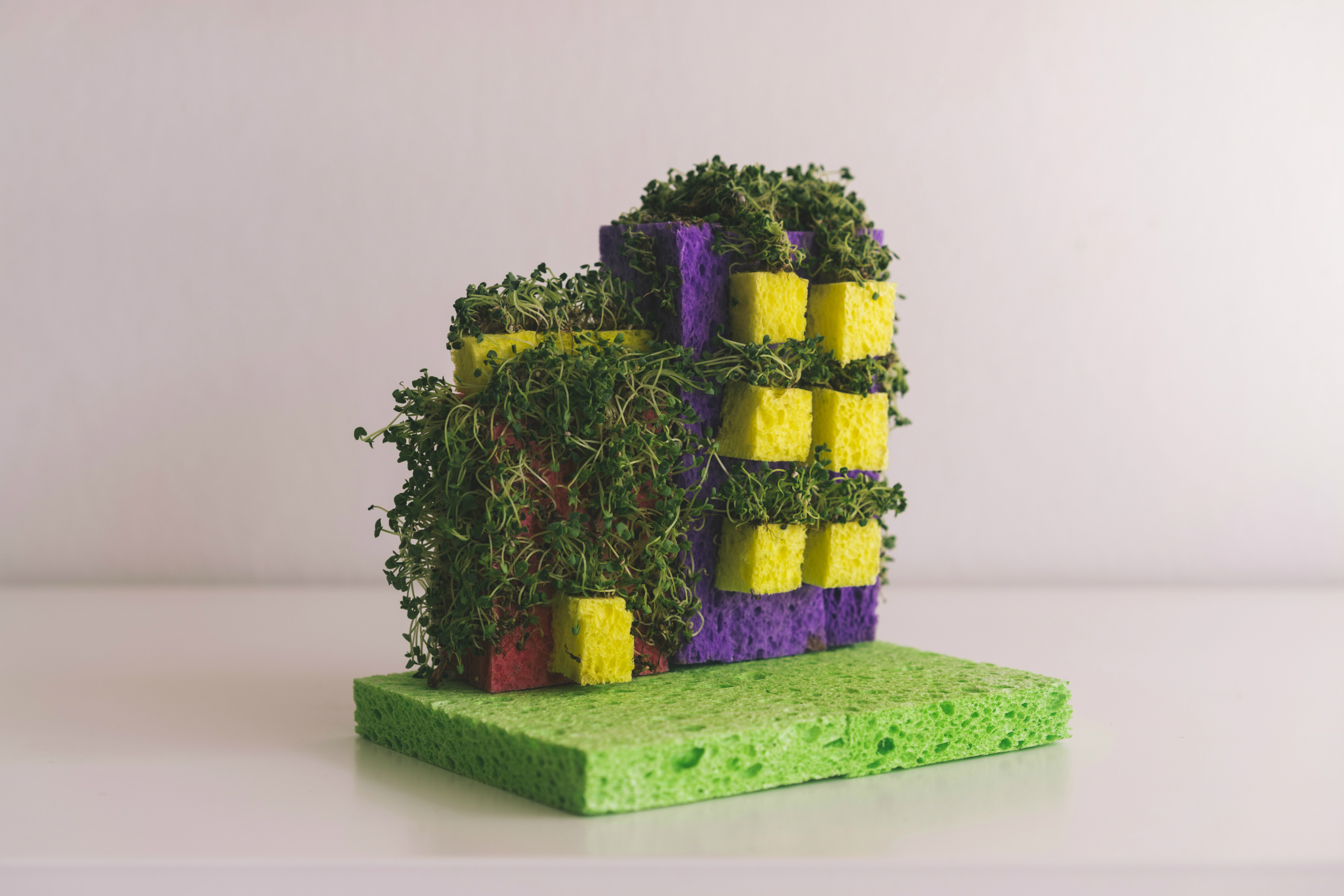 Sprout Sculpture