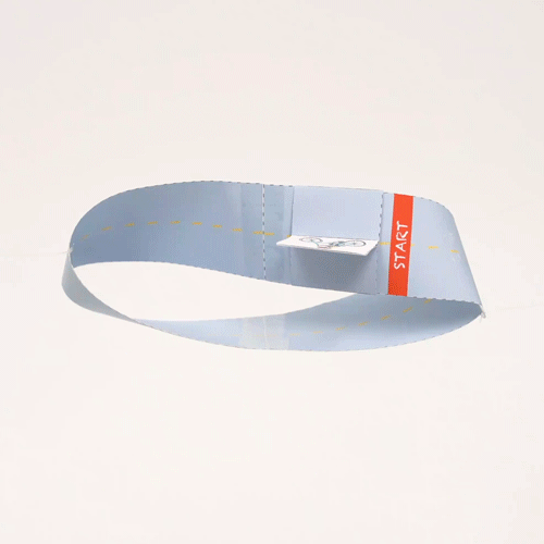 The Amazing Endless Loop