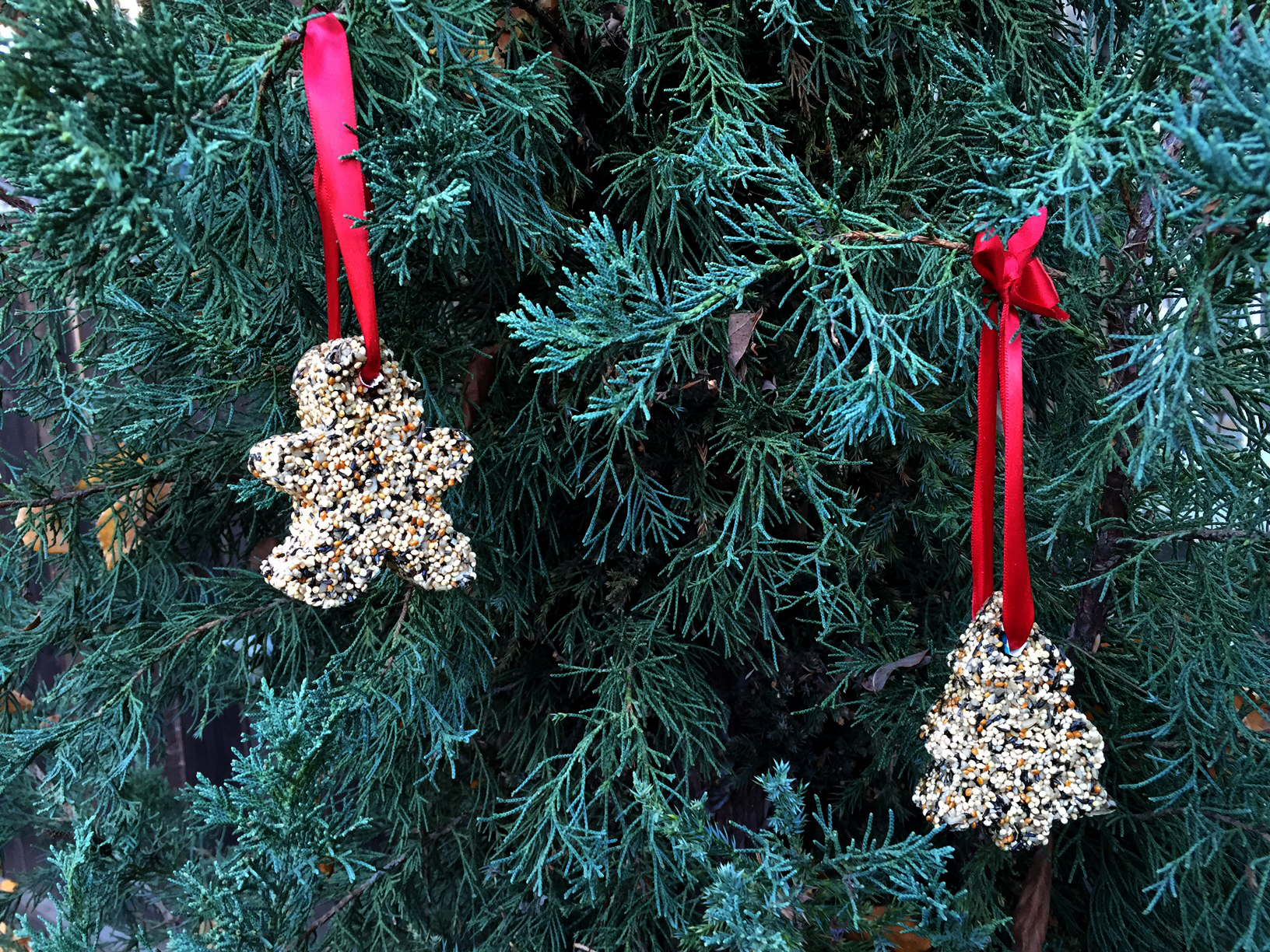 Bird Seed Ornament