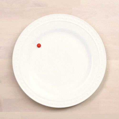 Skittles Science Fair Project