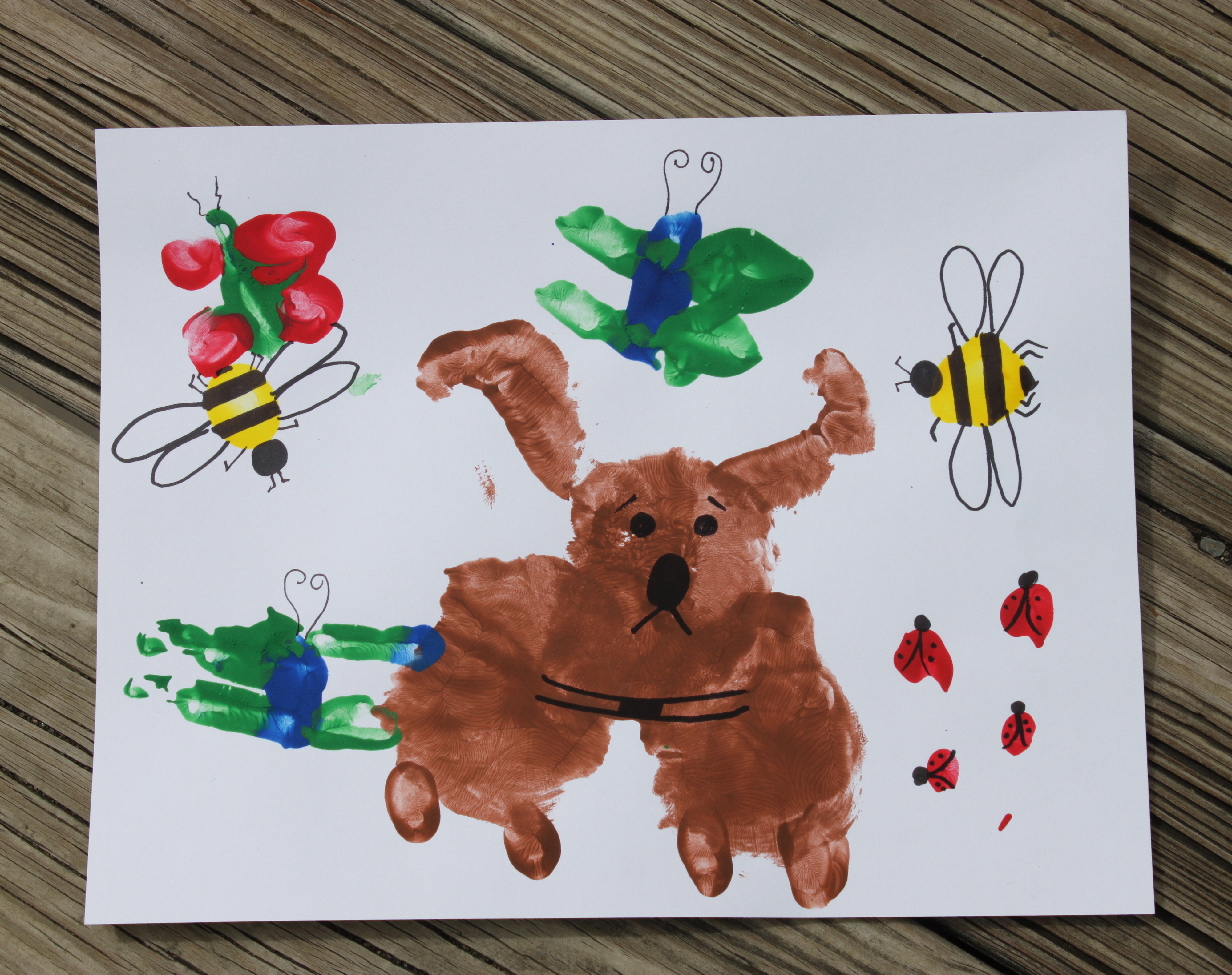 Fingerprint Insects