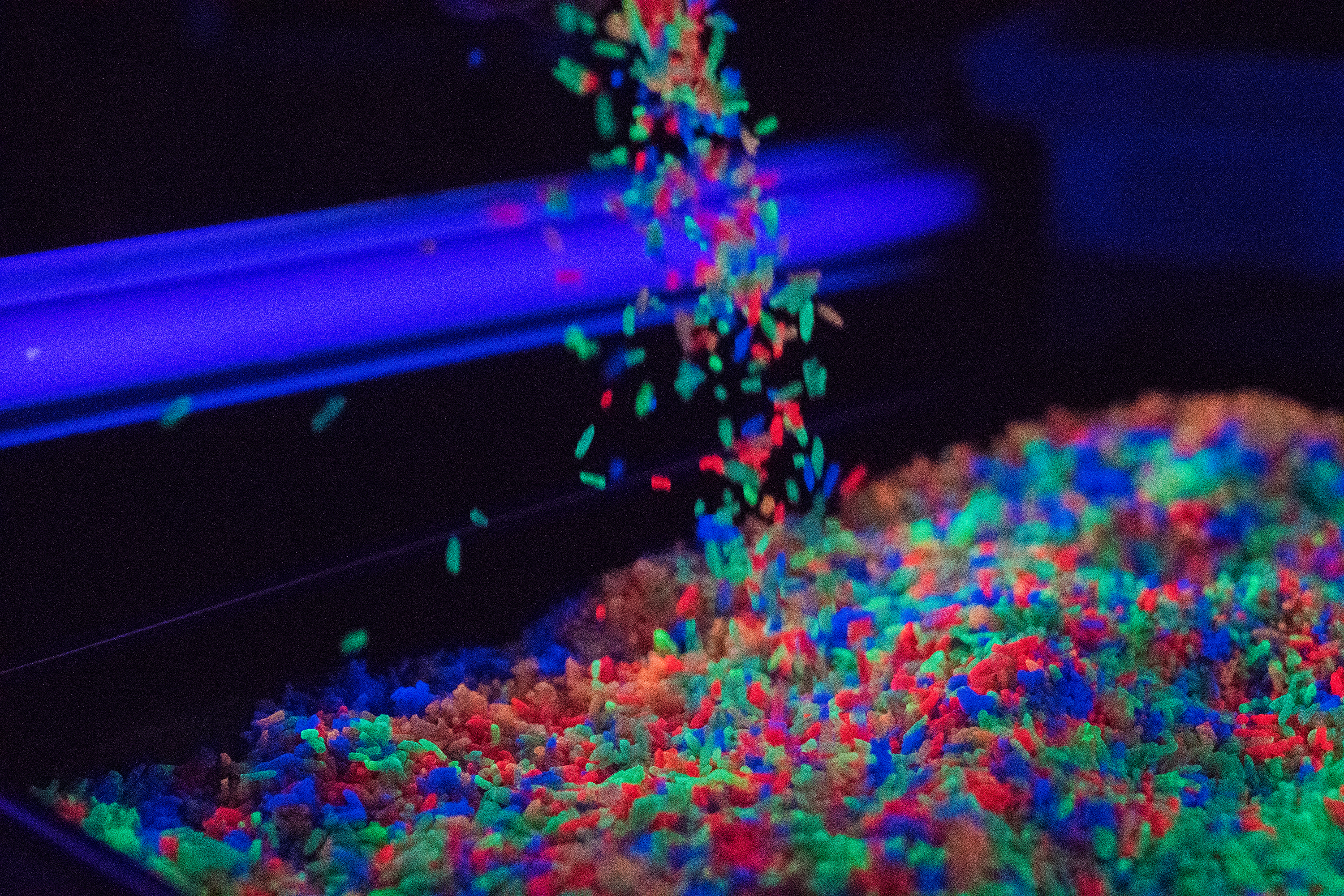 Neon Rice