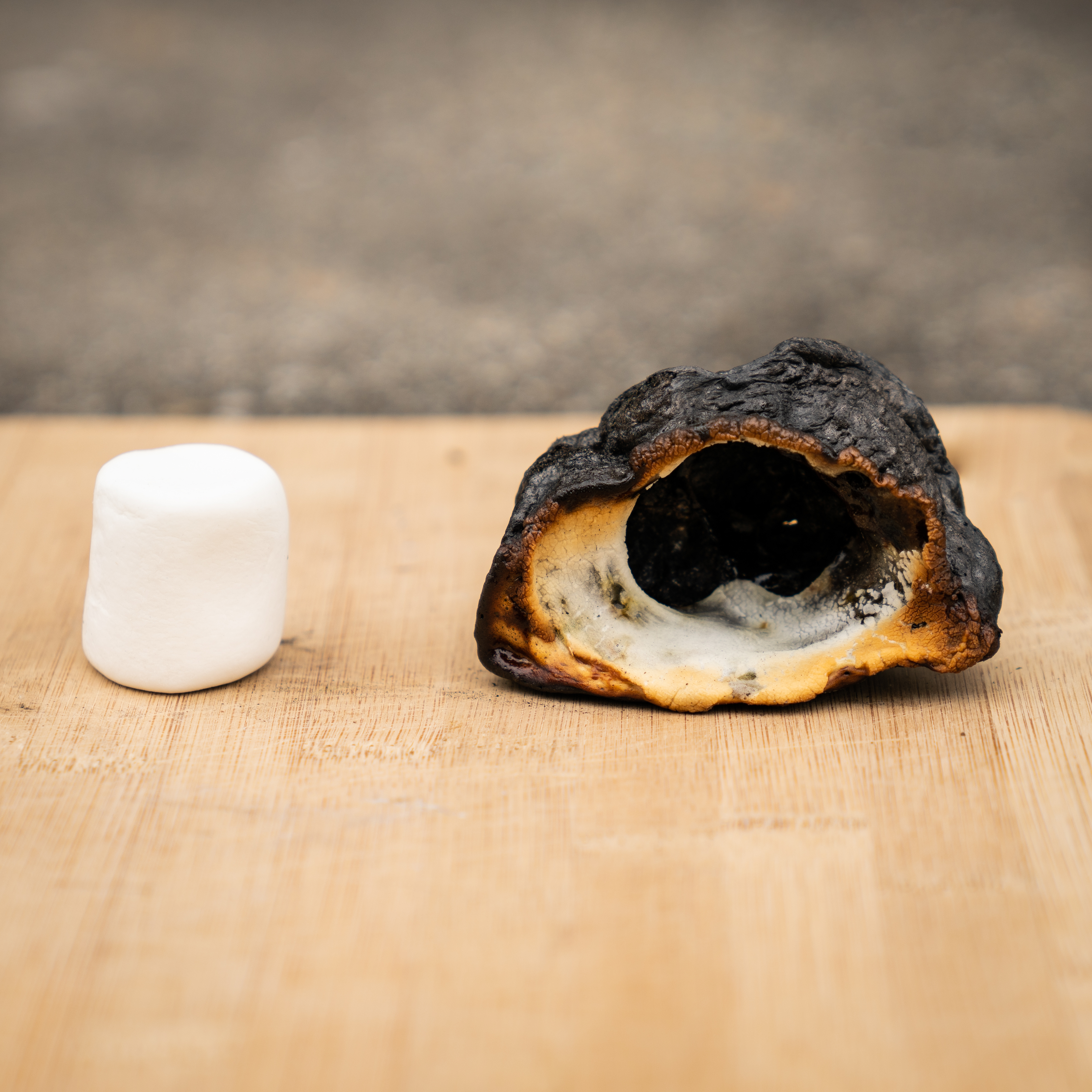 Marshmallow Experiment