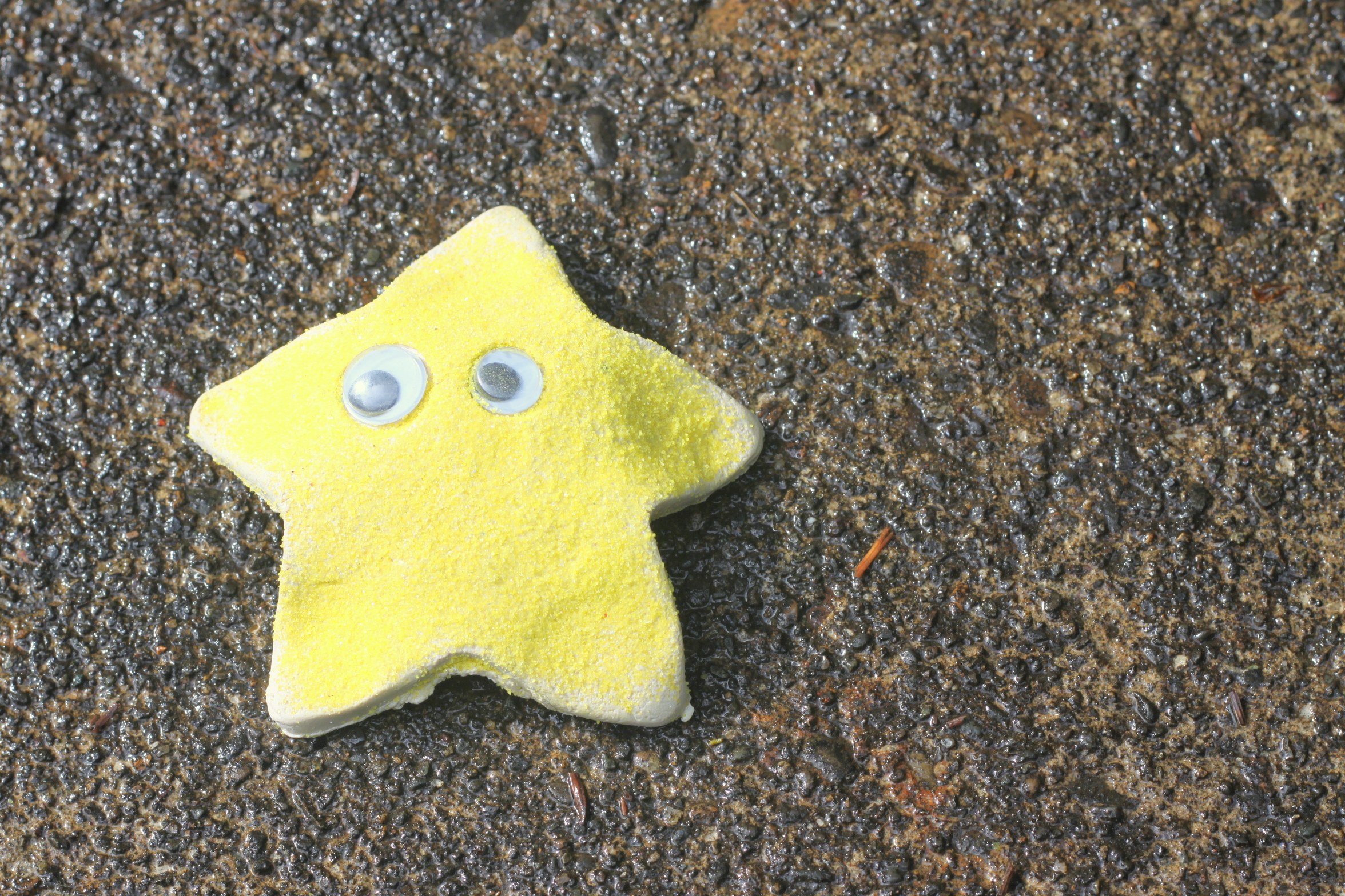 Starfish Friend