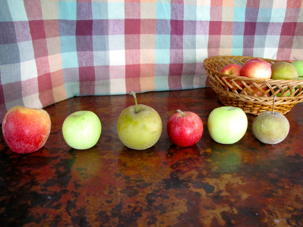 Apple Pattern Games