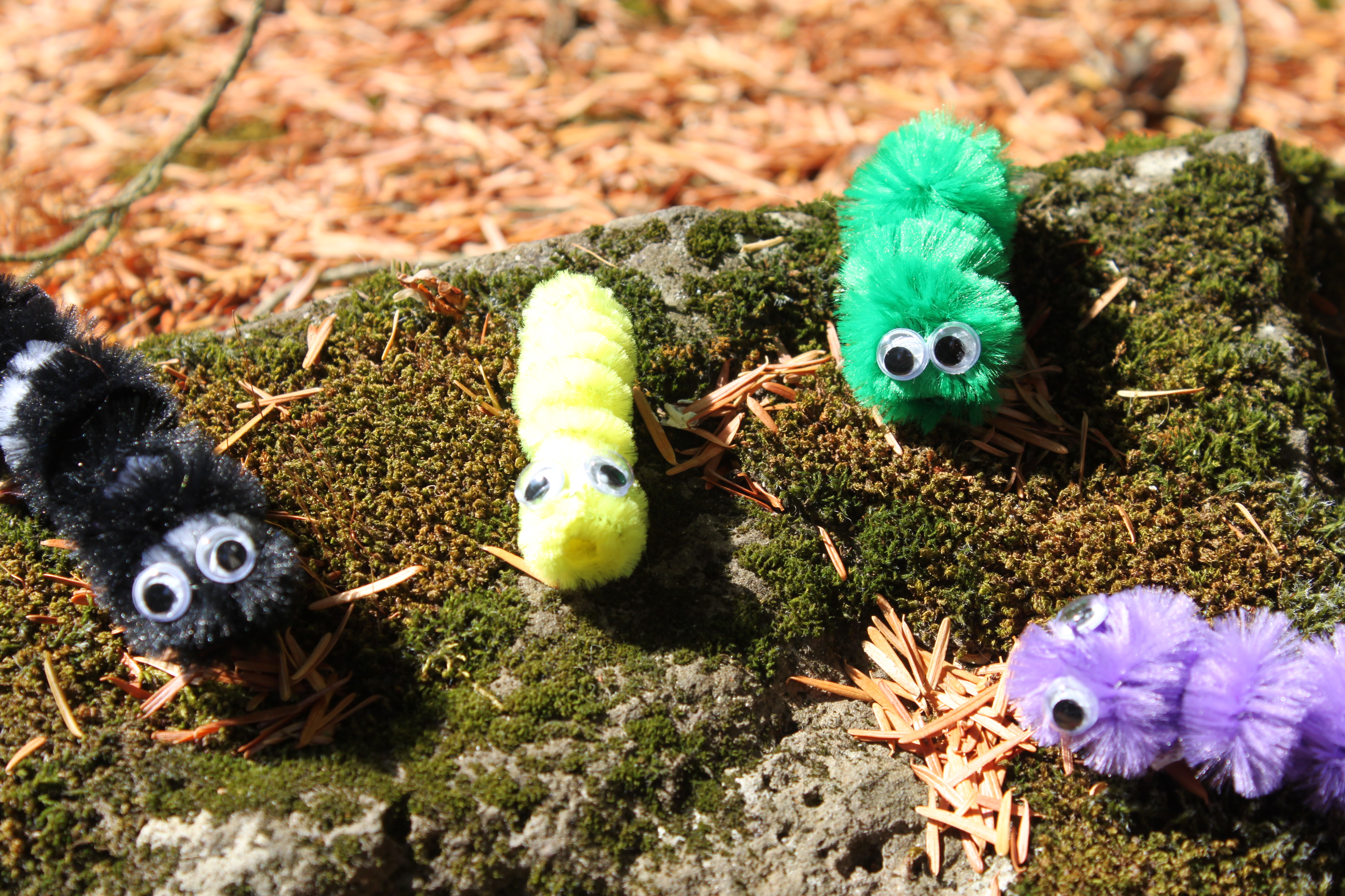 Pipe Cleaner Caterpillar