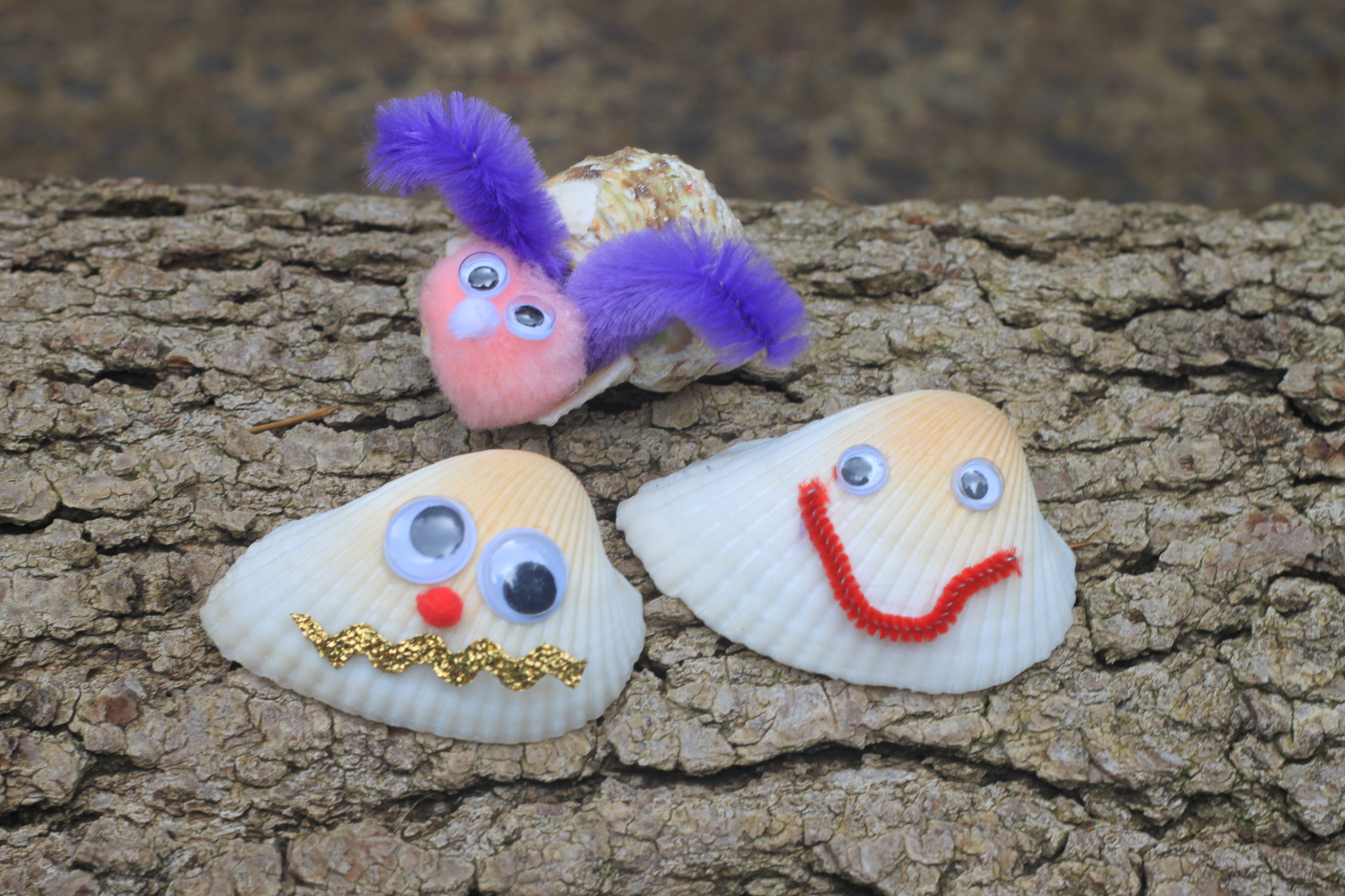 Seashell Friends