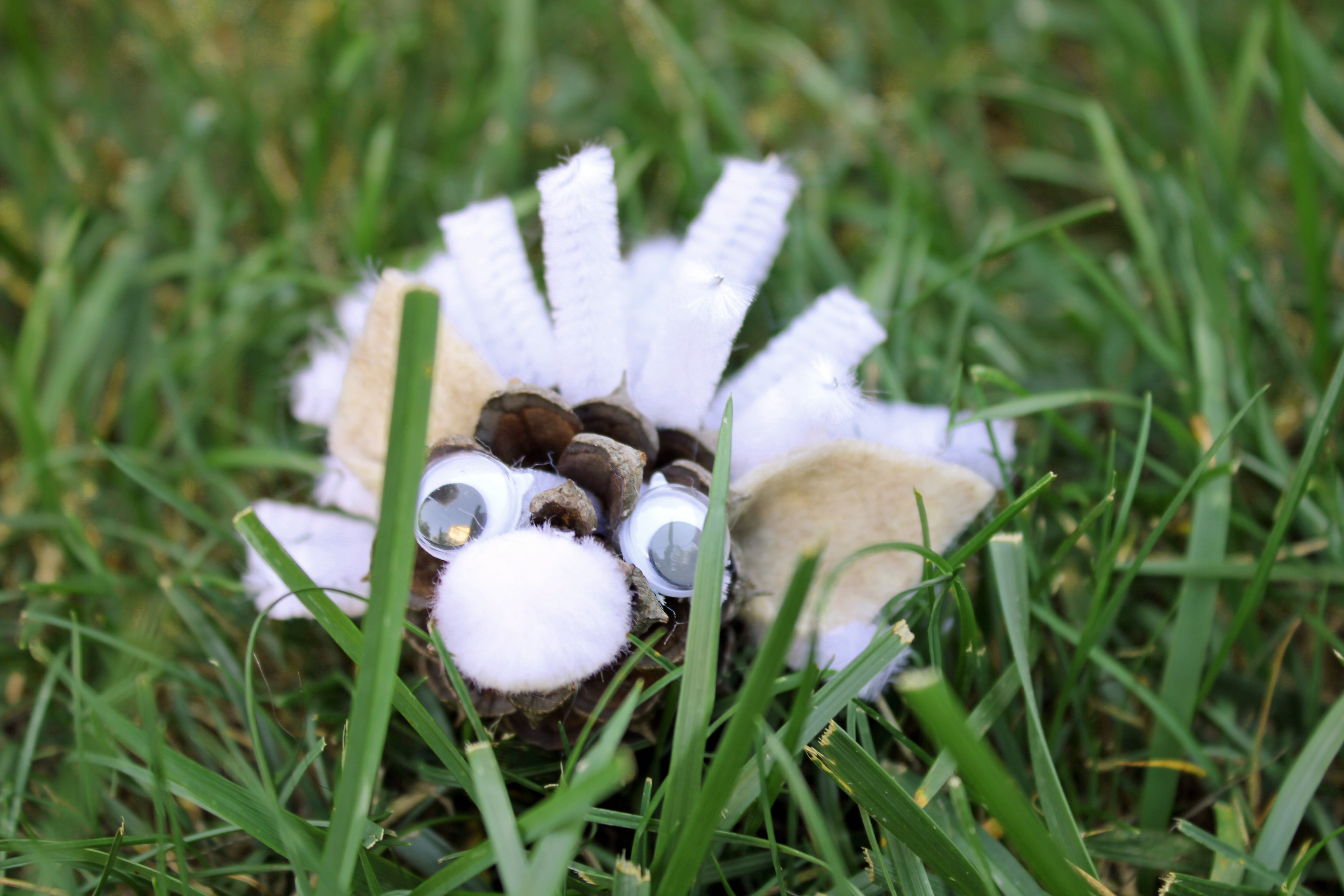 Pinecone Hedgehog