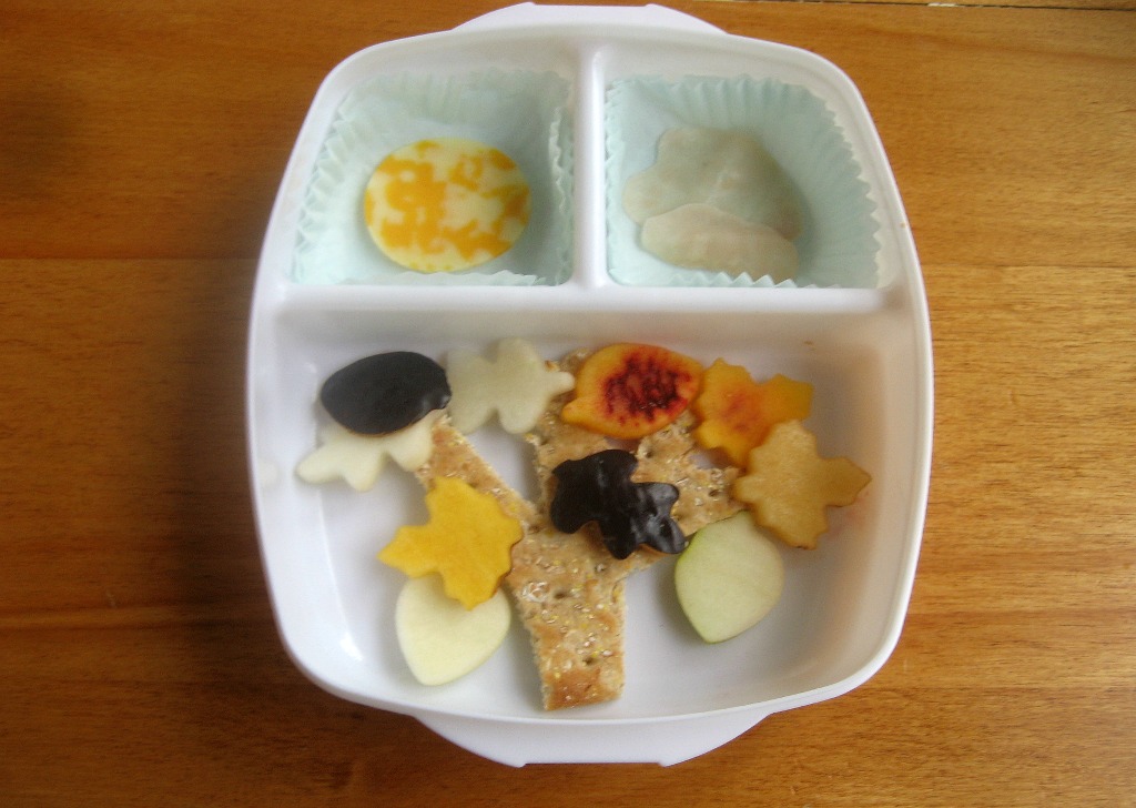 Fall Harvest Bento Box