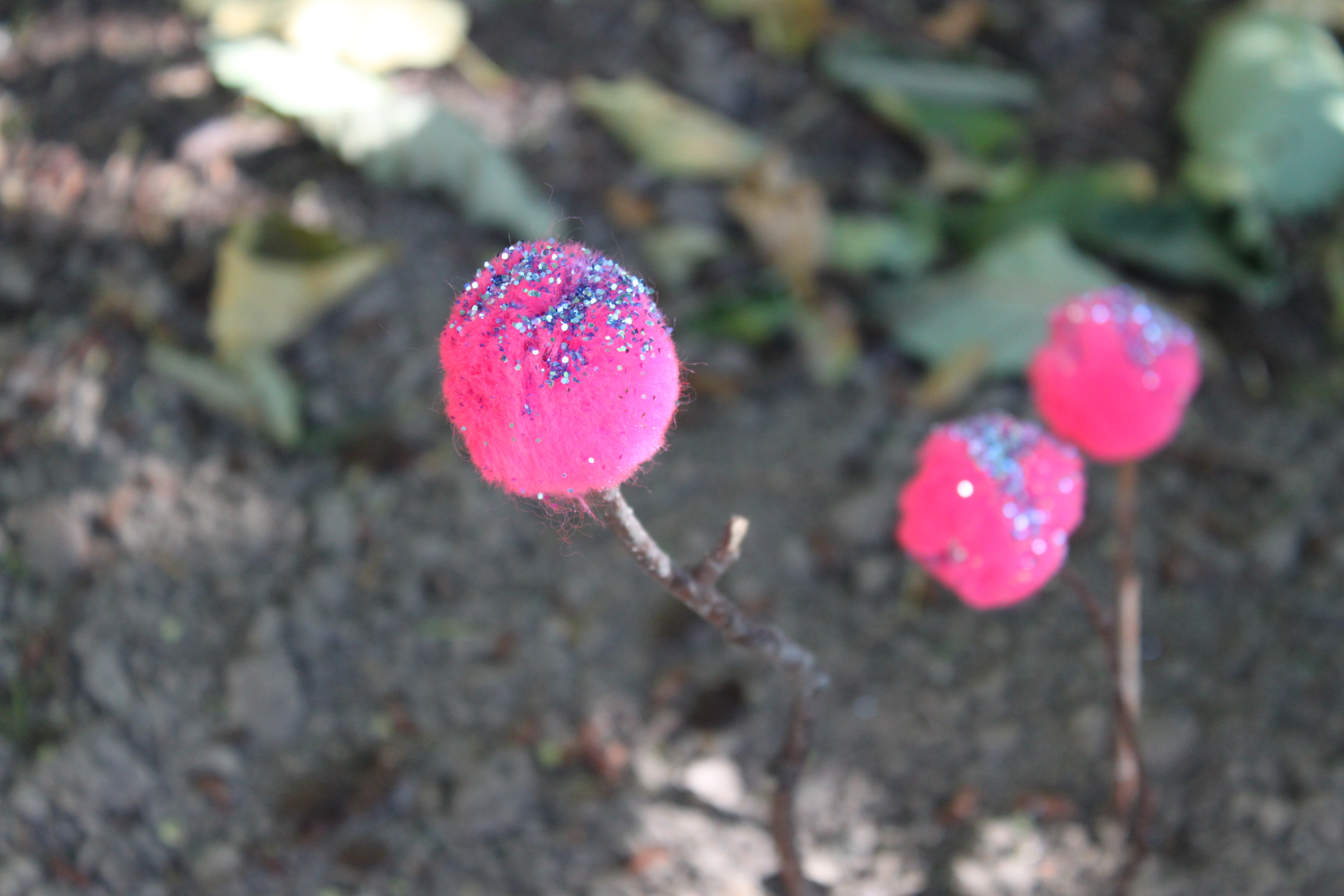 Magical Dandelions