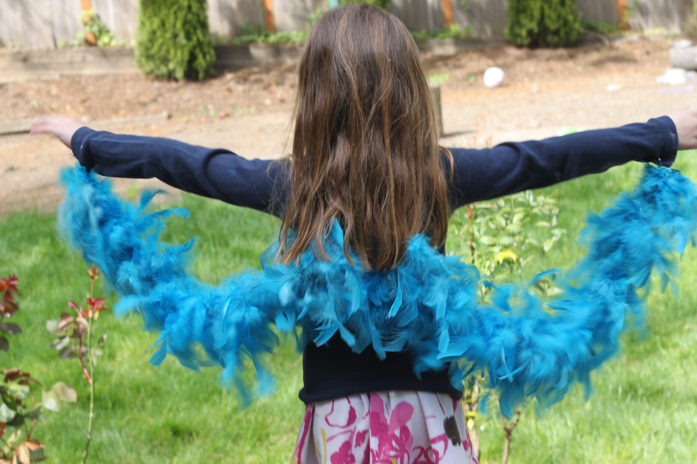 My Own Bird Wings