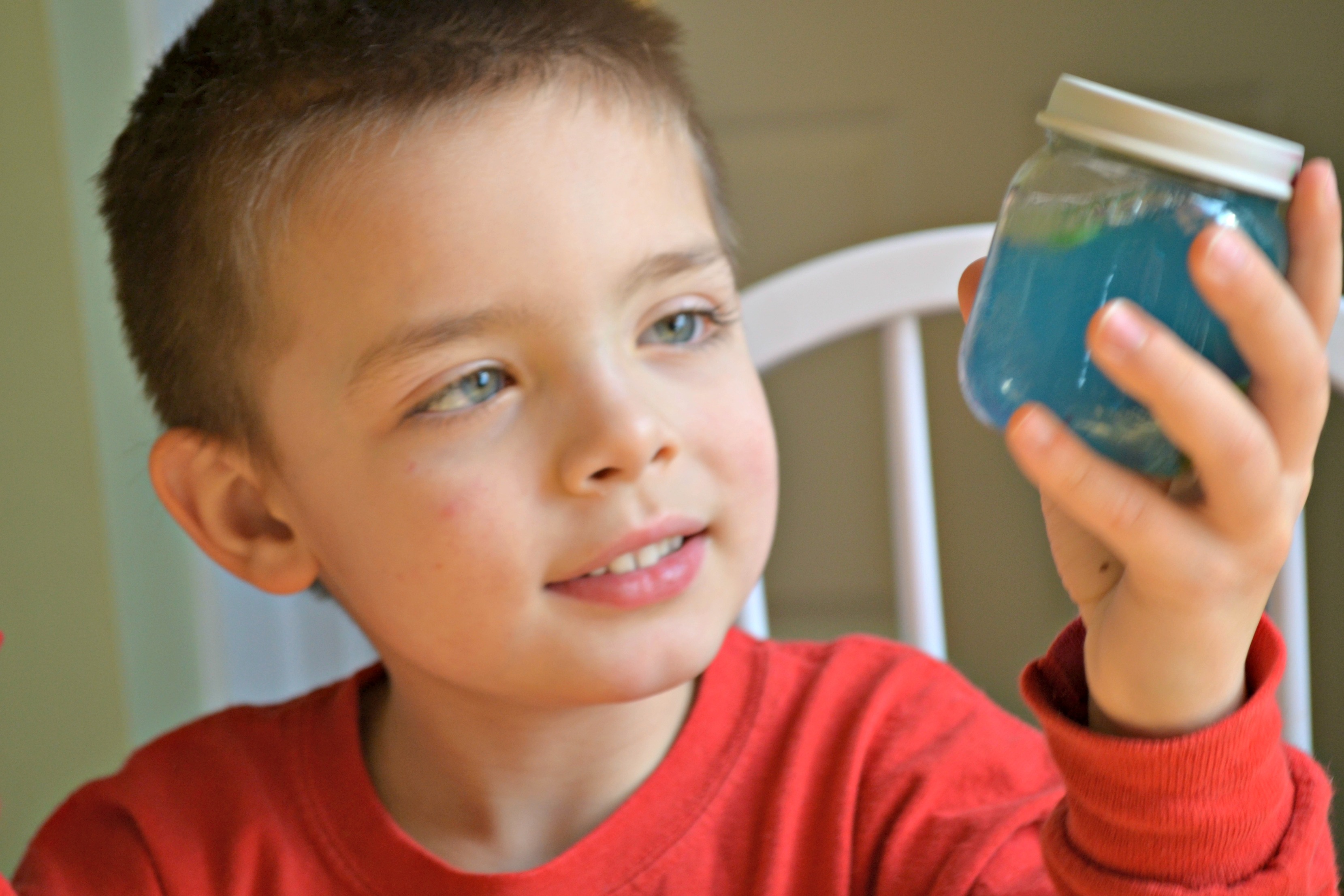 Mini Aquarium