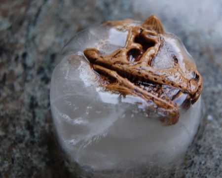 Ice Excavation