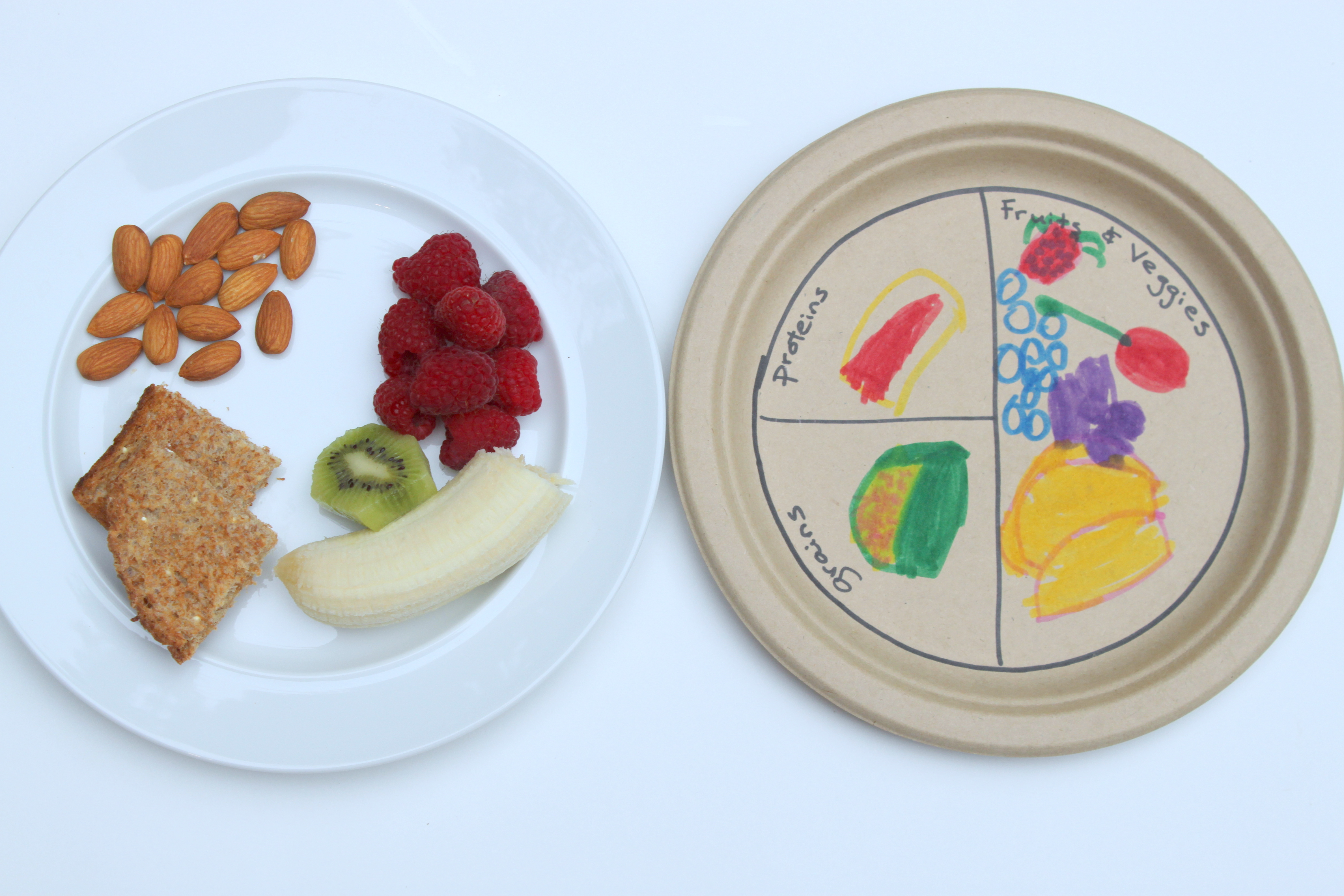 Healthy Plate