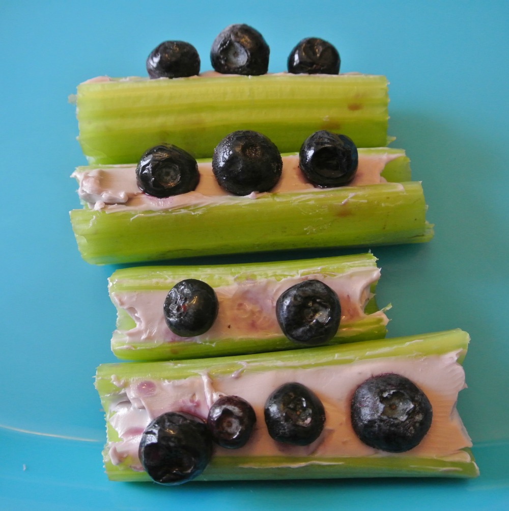 Ants on a Log