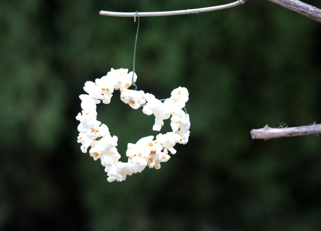 Heart-Shaped Popcorn Birdfeeder