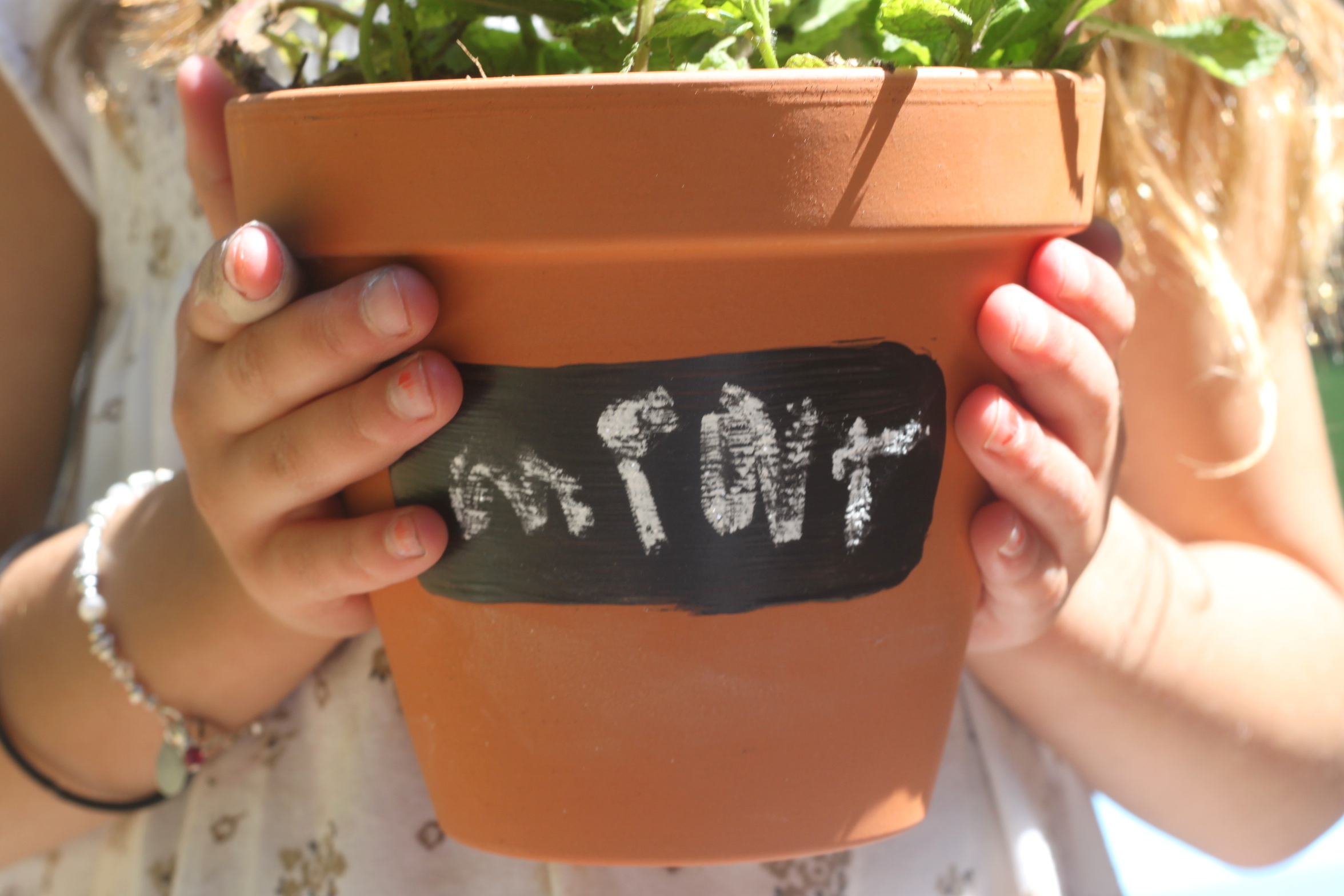 DIY Chalkboard Planters