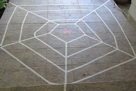 Spider Web Walk