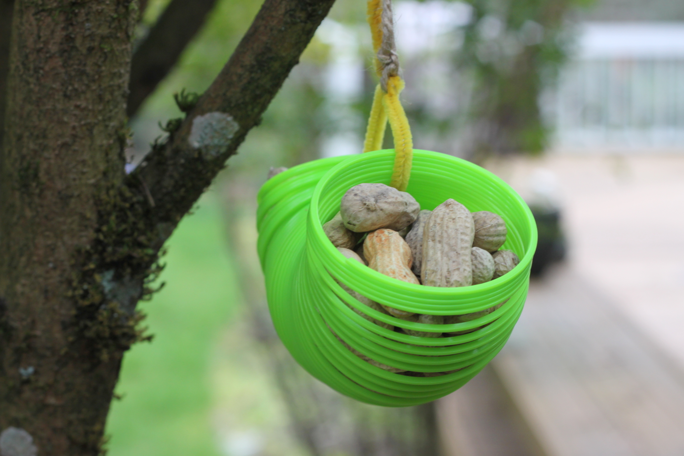 Squirrel Slinky Feeder