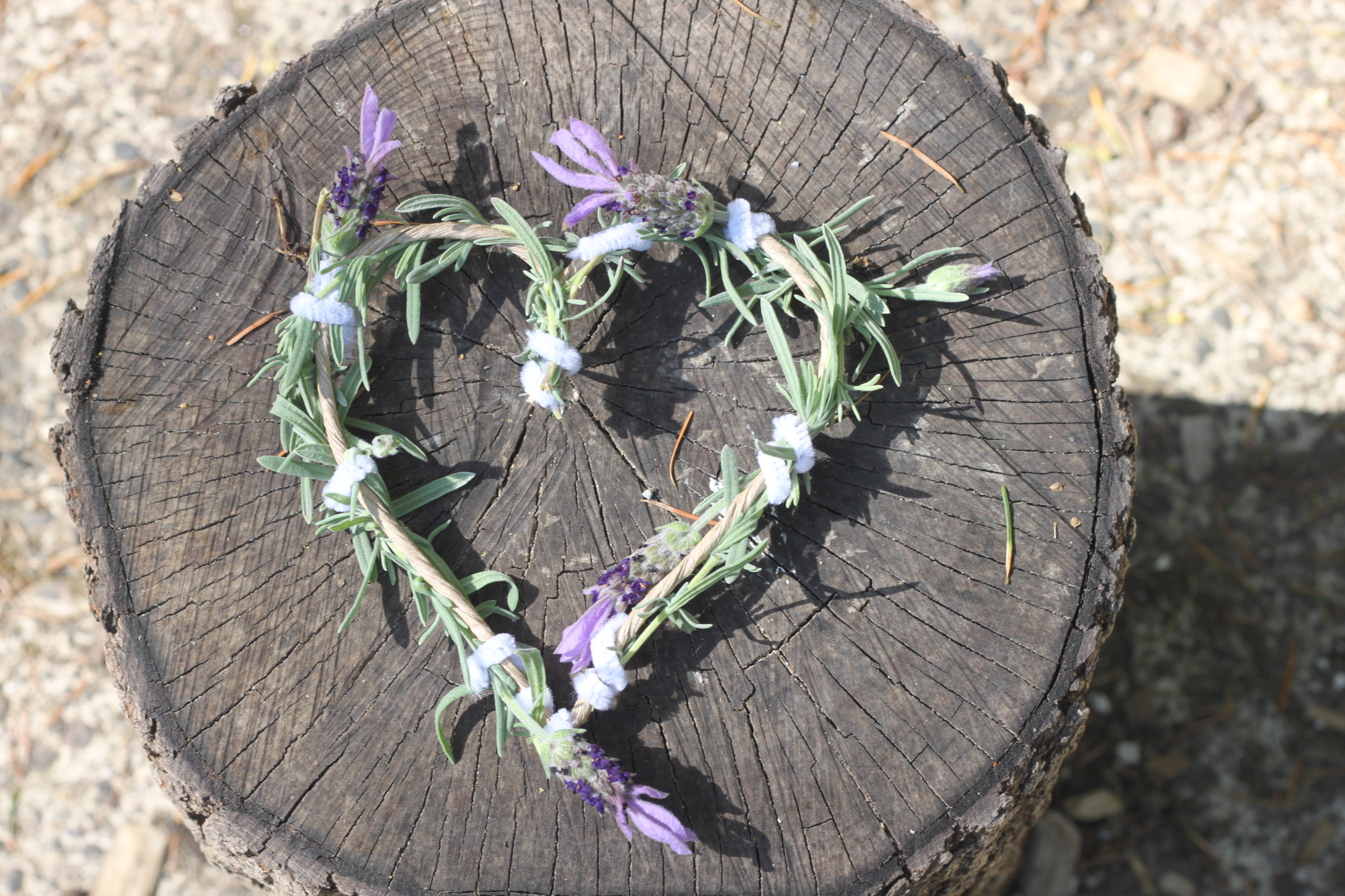 Lavender Wreath