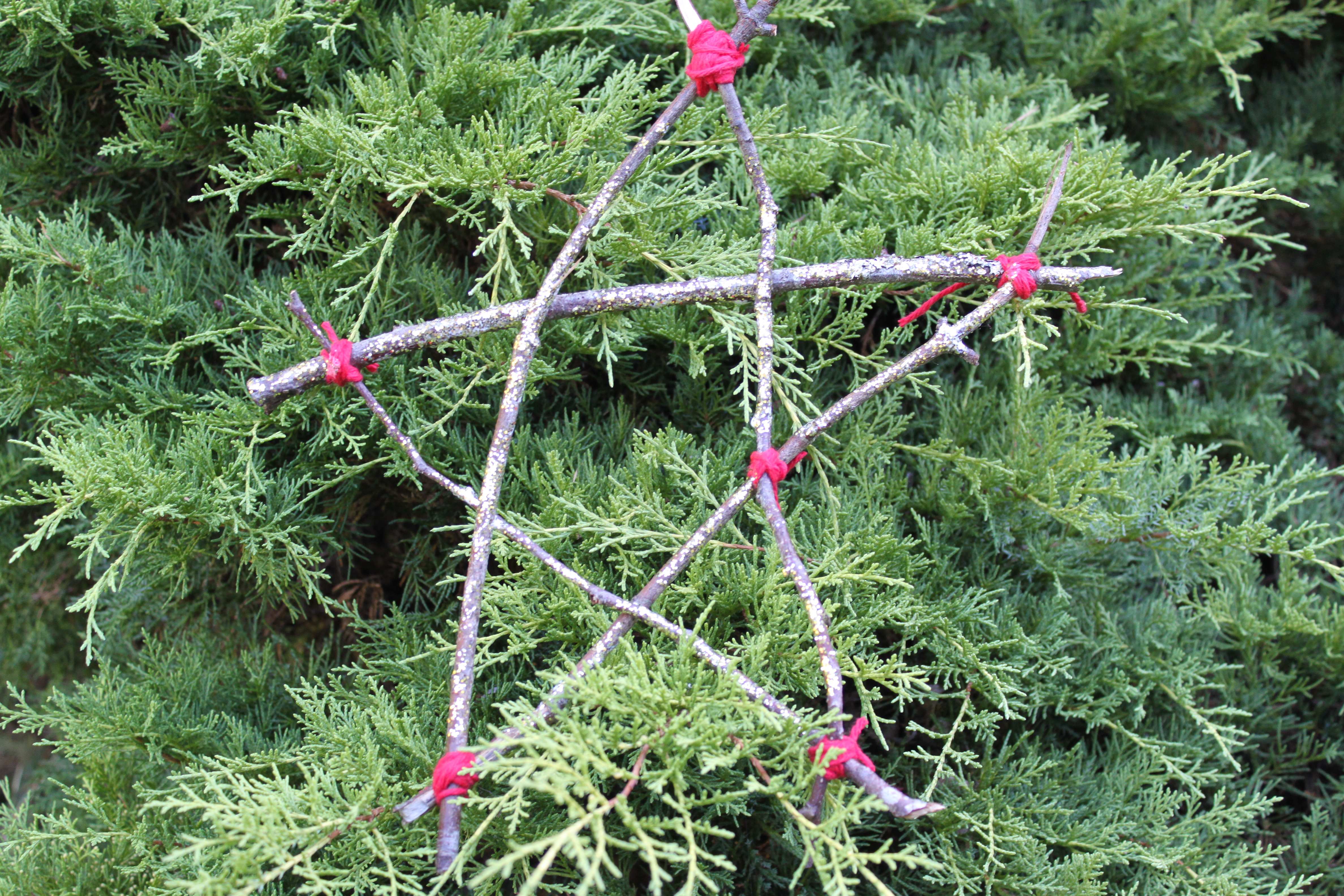 Sticks + Yarn = Nature Star