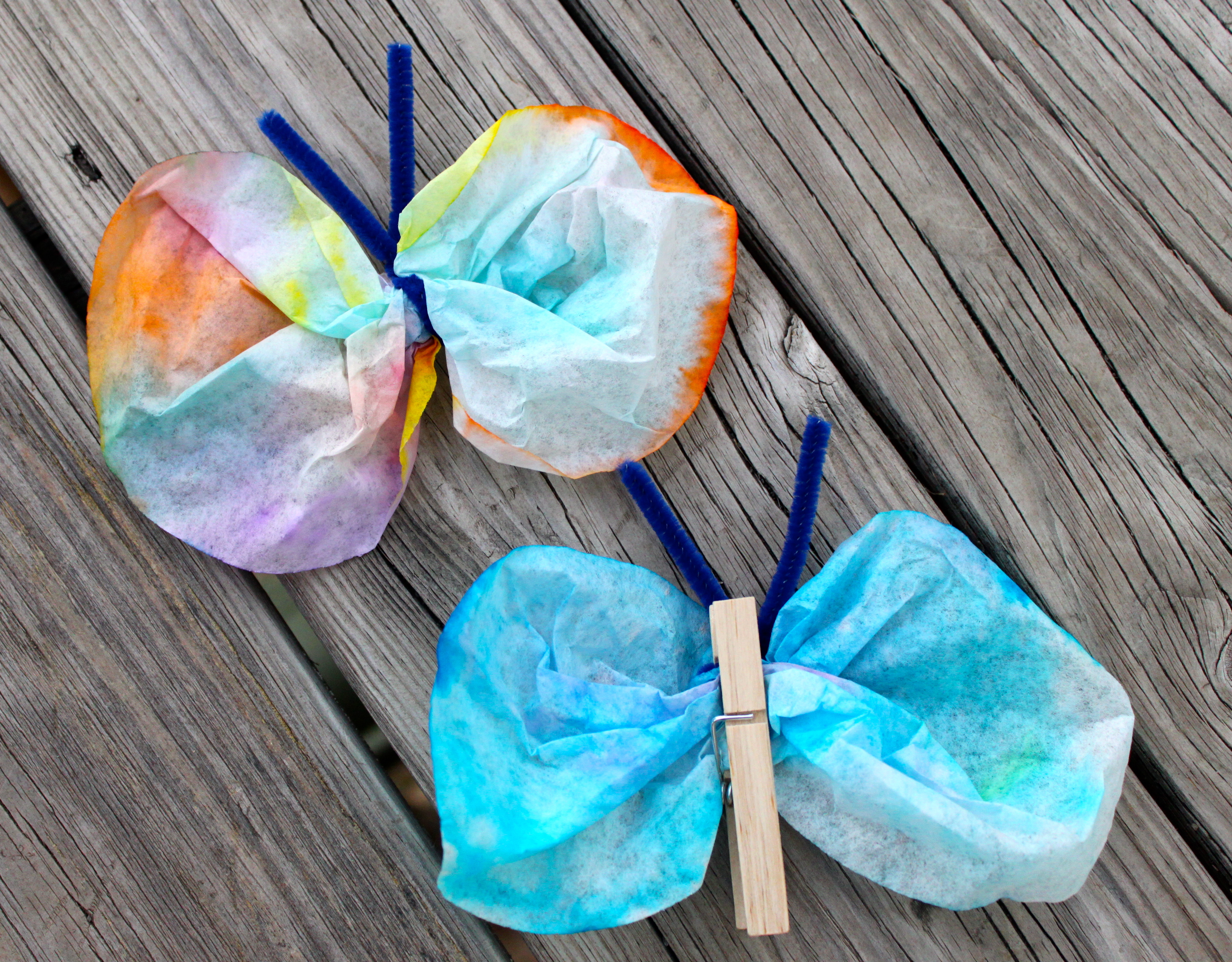 Colorful Butterflies