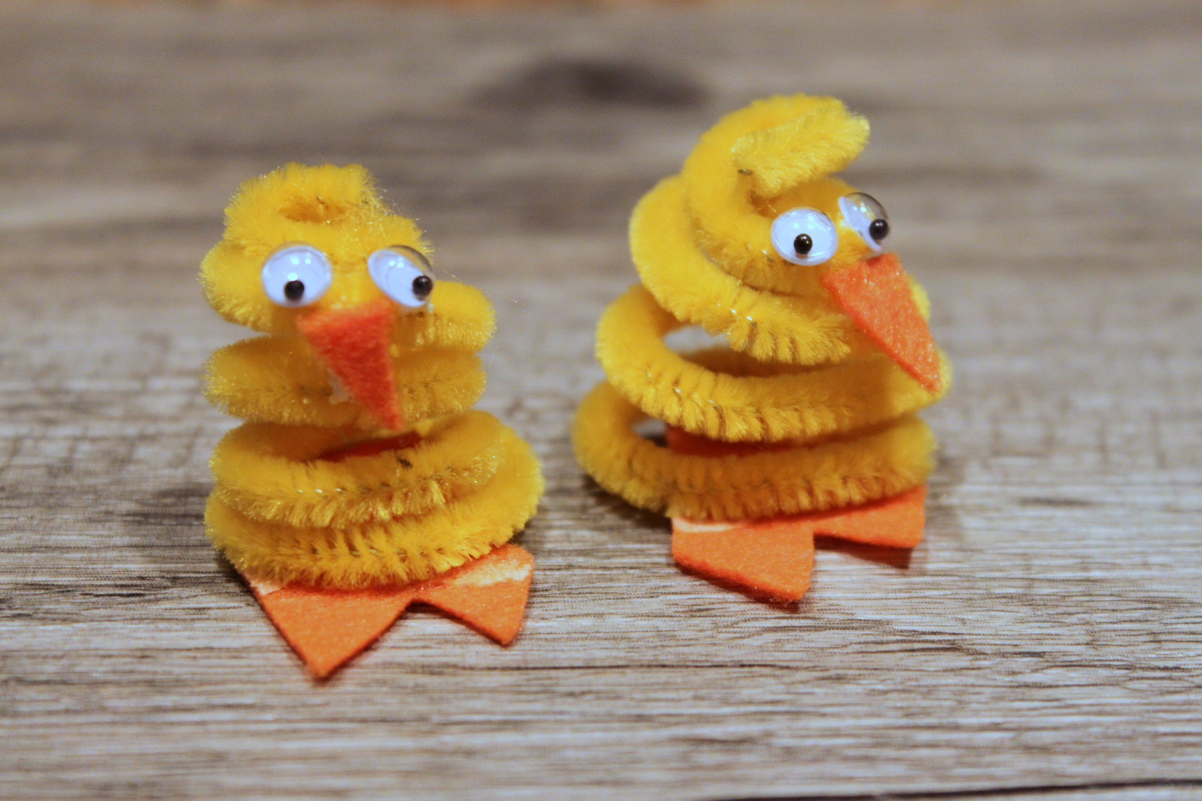 Pipe Cleaner Chick