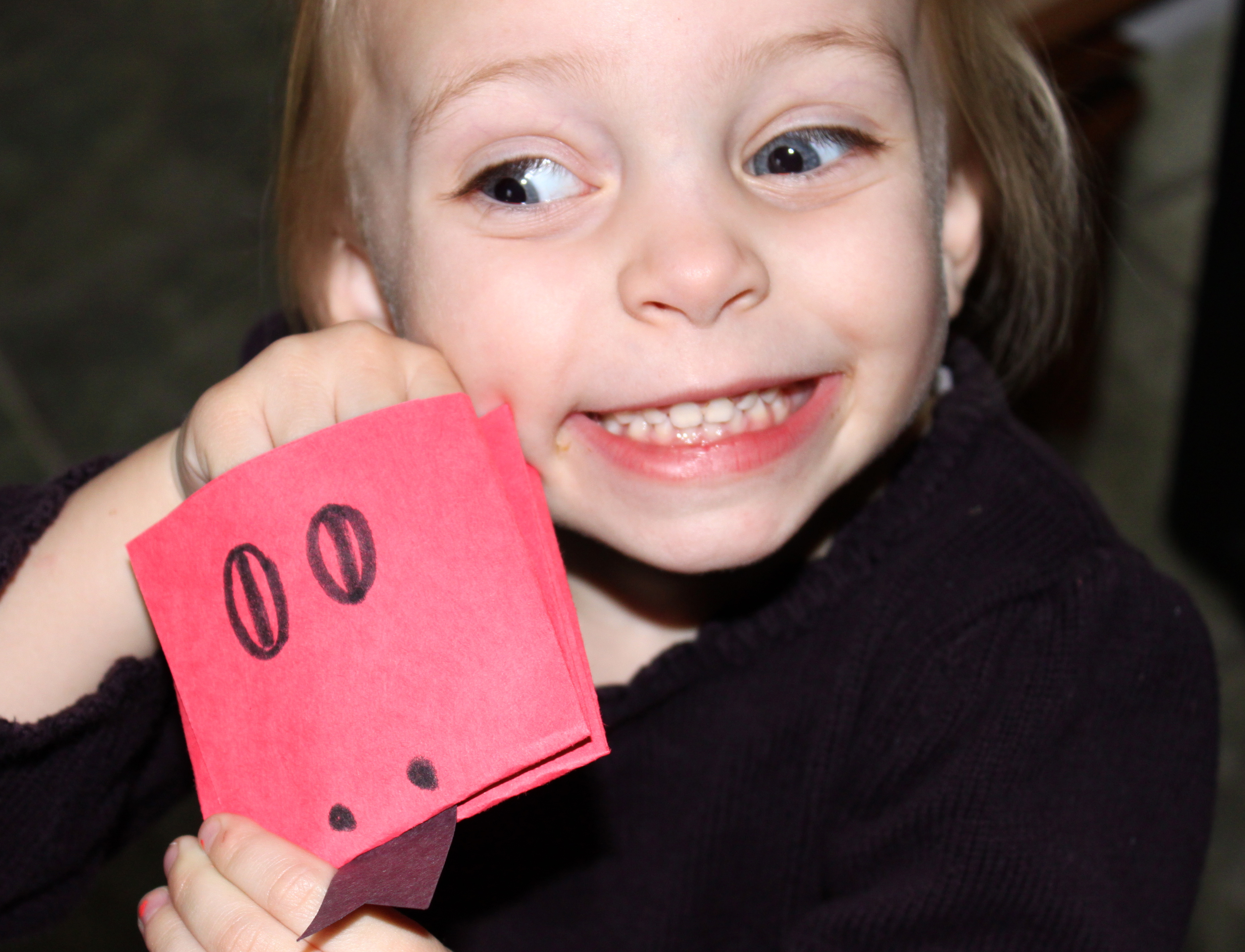 Paper Puppets