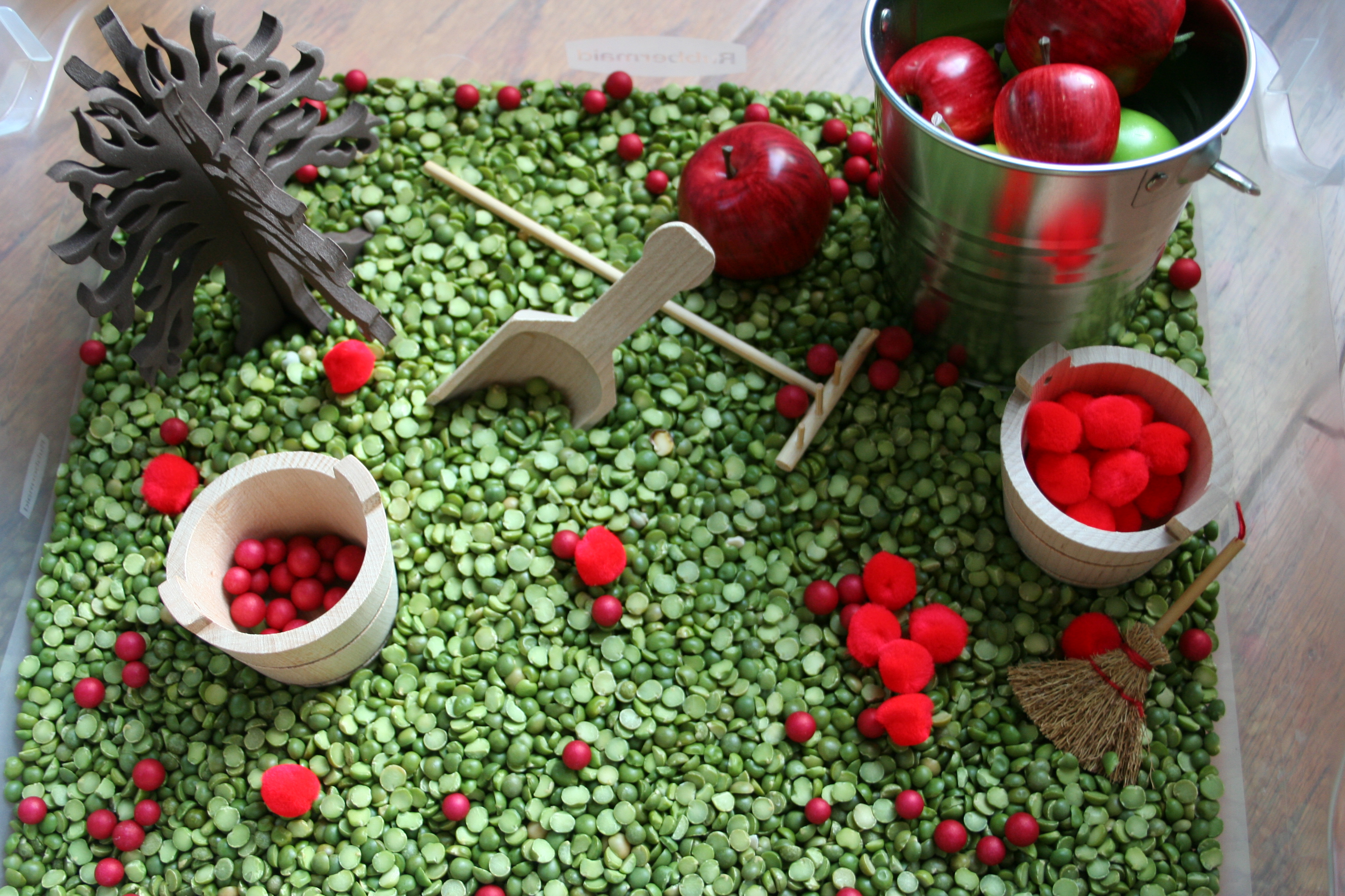 Apple Theme Sensory Bin