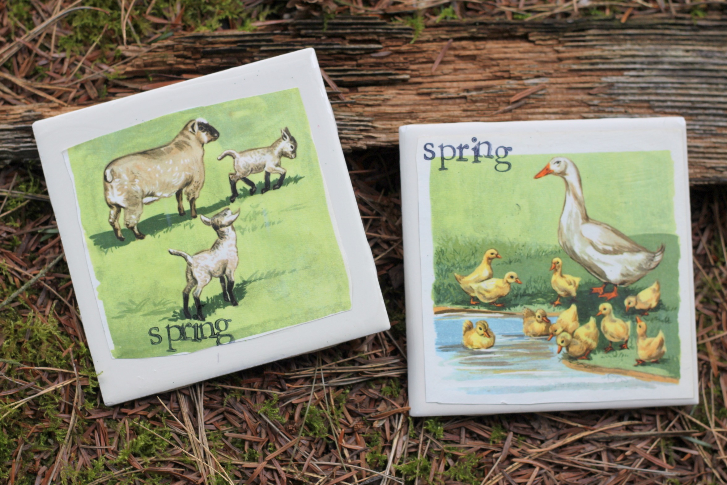 Vintage Spring Coasters