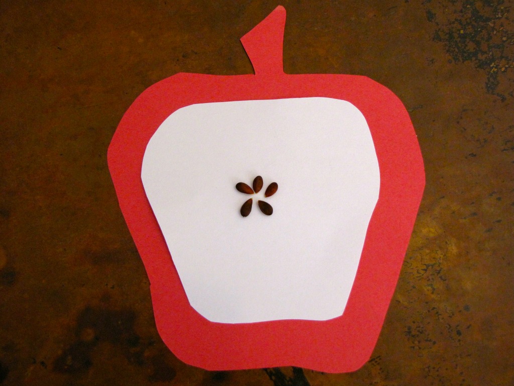 Apple Seed Stars