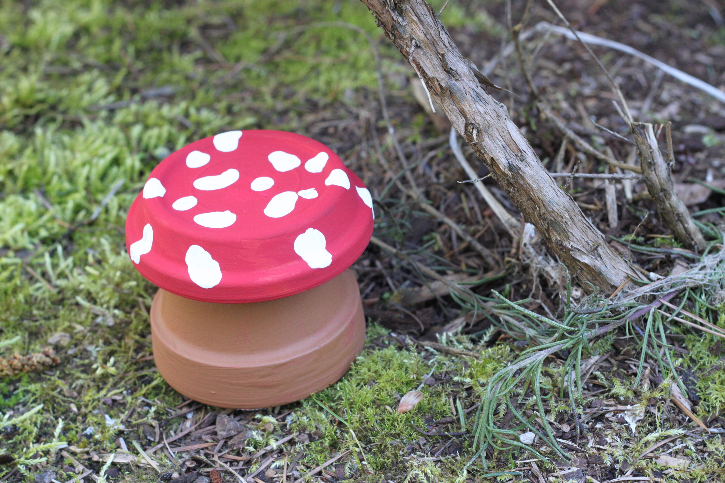 Garden Toadstool