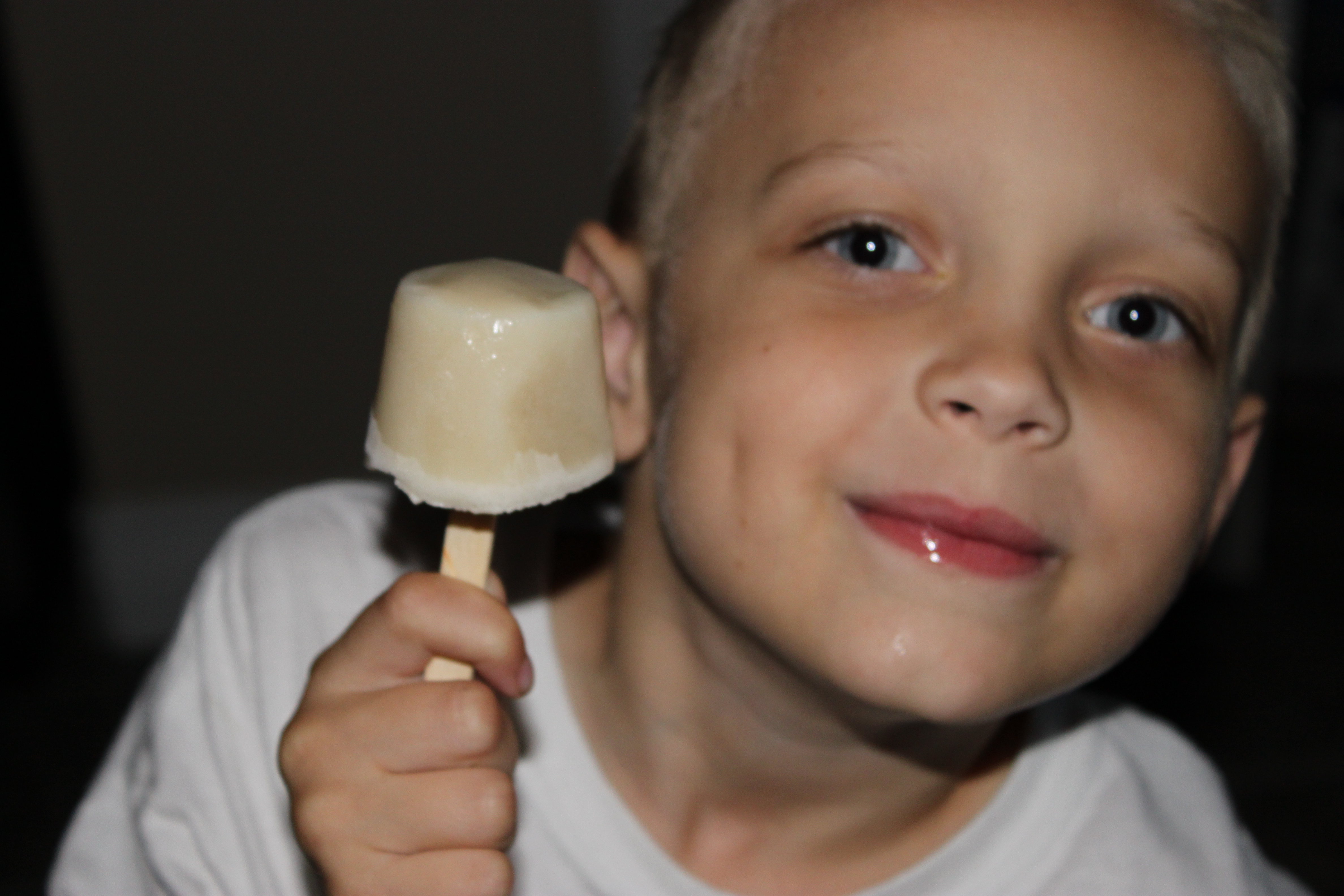 Creamy Vanilla Pops