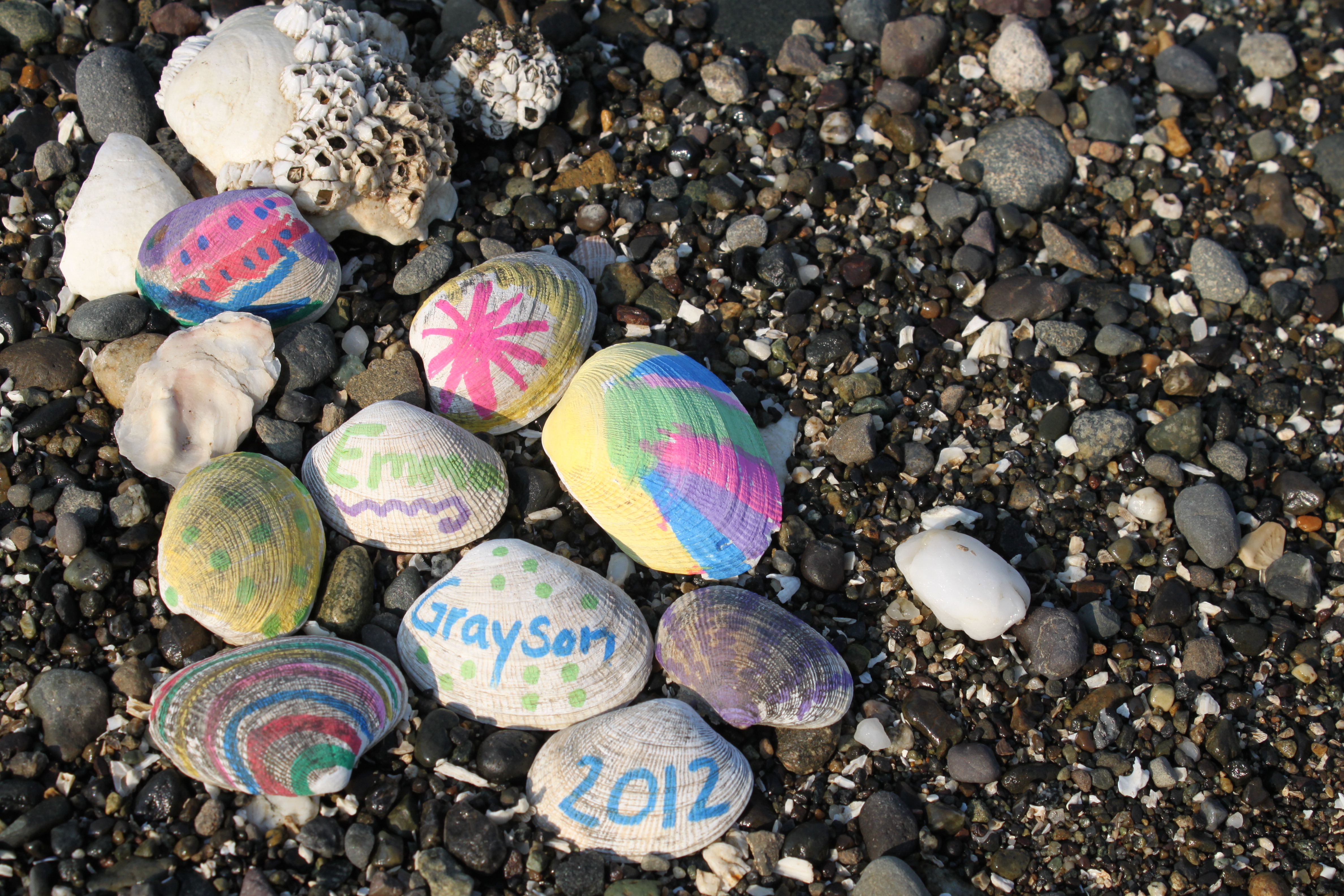 Summer Seashell Treasures