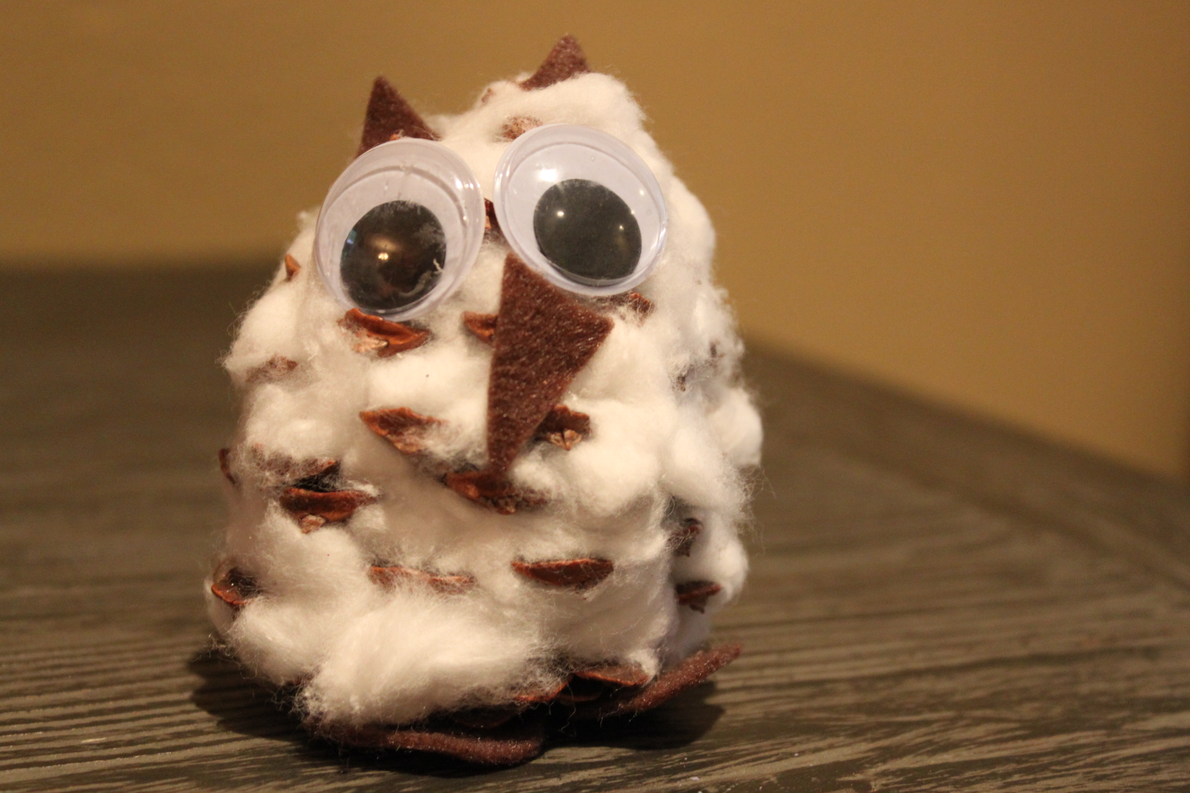 Pinecone Snow Owl