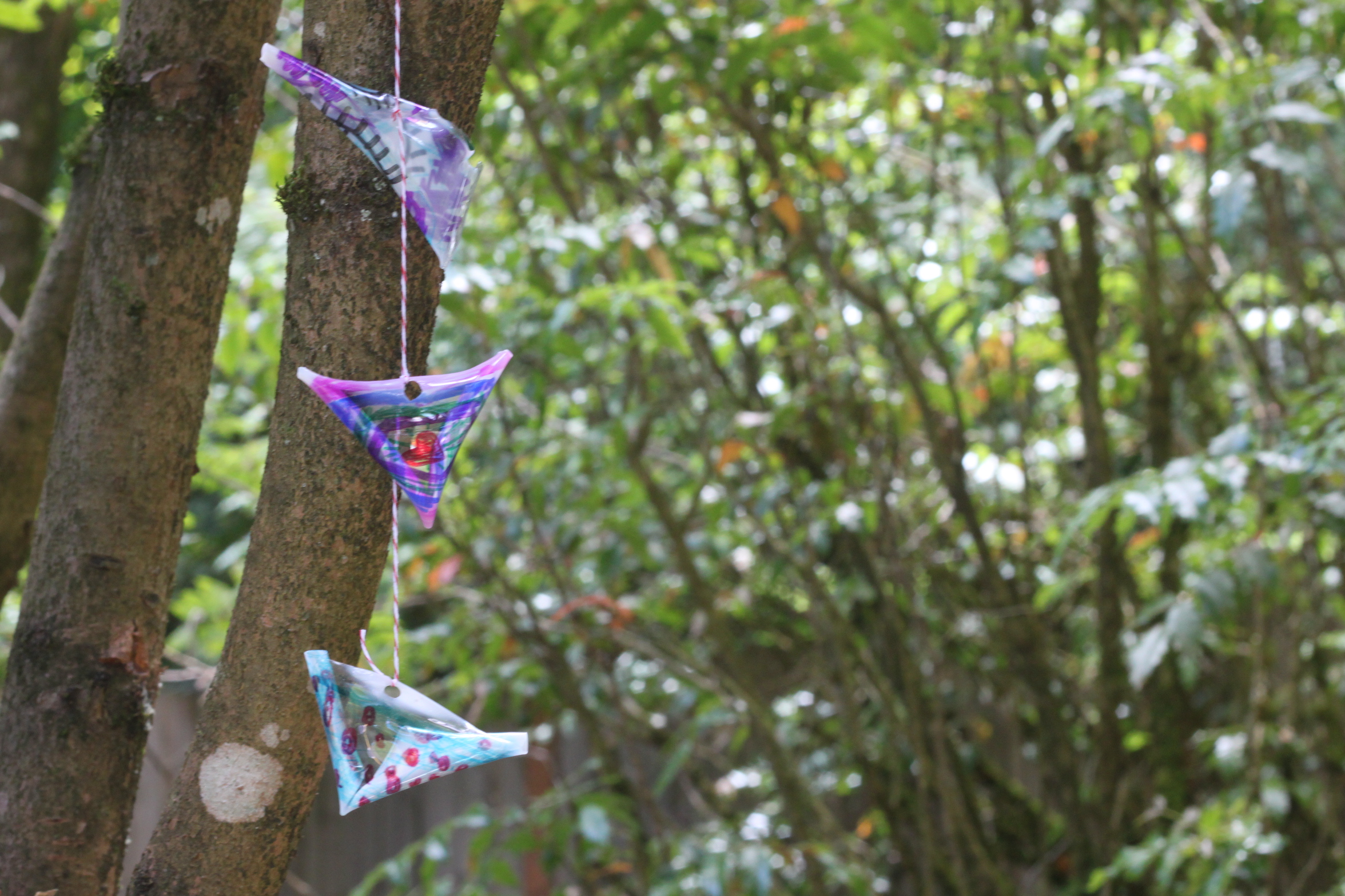 Recycled Plastic Art